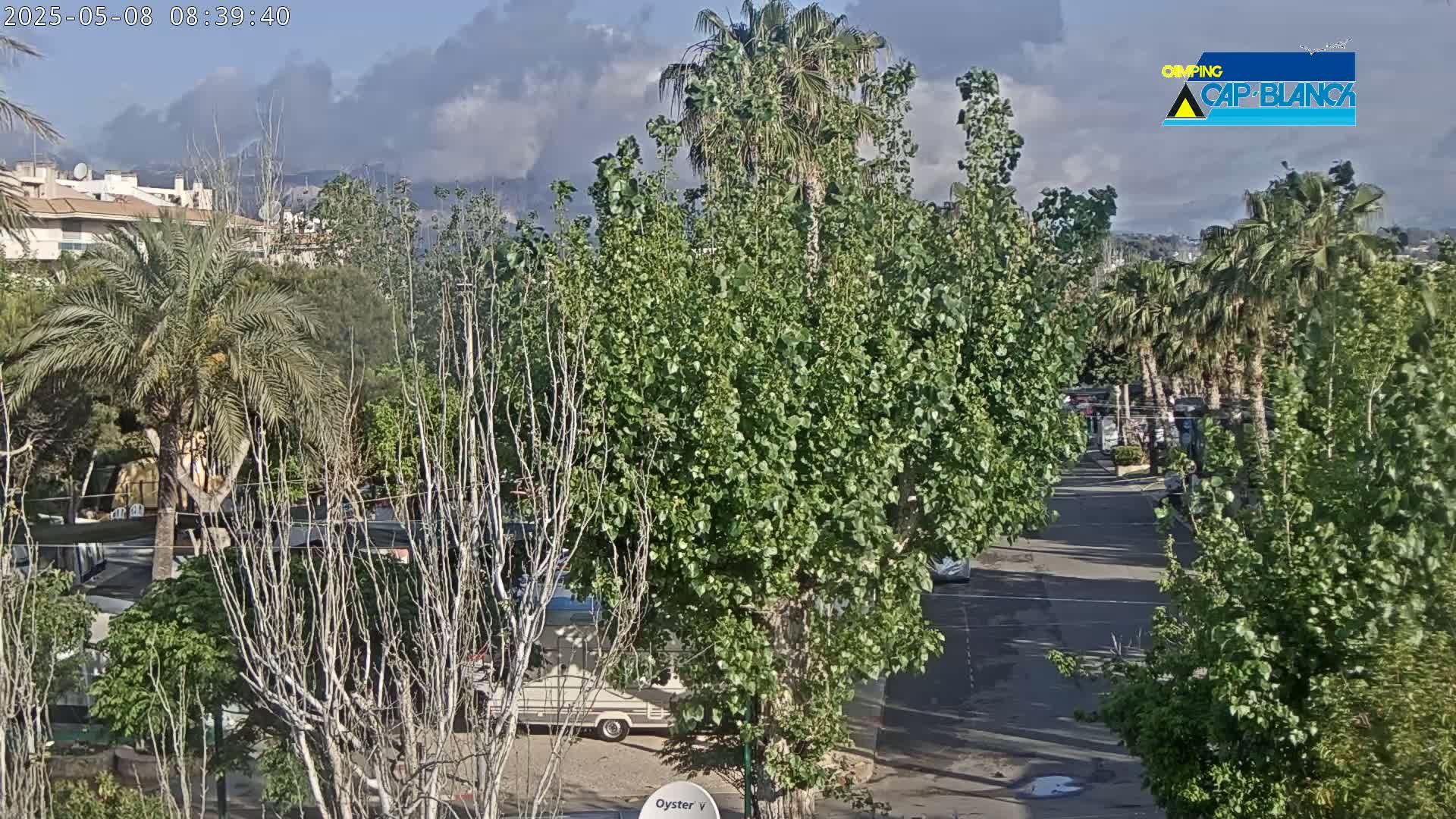 A partly cloudy day reveals a street scene lined with lush green trees and palm trees, with a camper van parked alongside, and buildings visible in the distance.