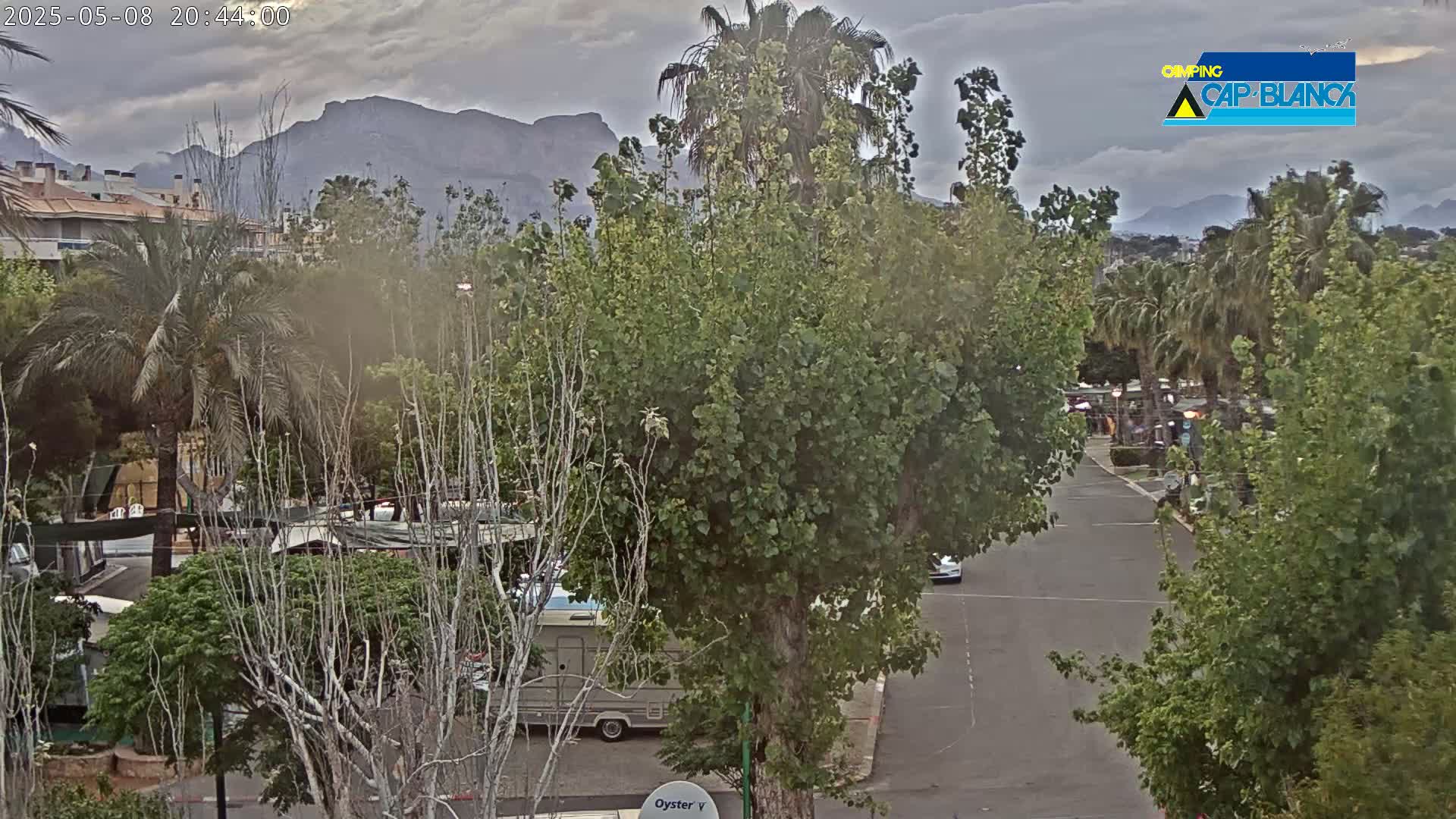 A cloudy evening scene shows a paved road winding through a campground with palm trees and other lush vegetation, backed by a mountain range.