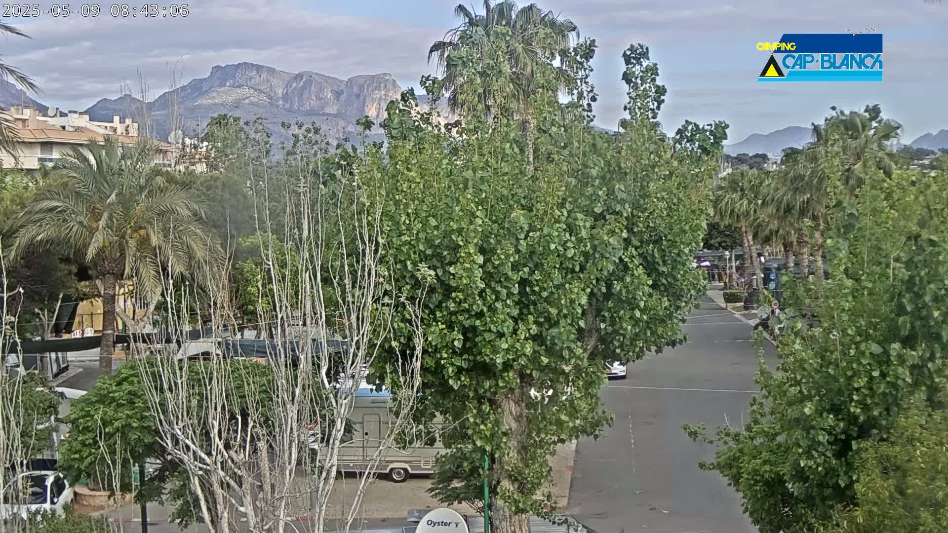 A street scene with lush green trees and palm trees under an overcast sky, mountains in the background, and a few vehicles parked along the road.