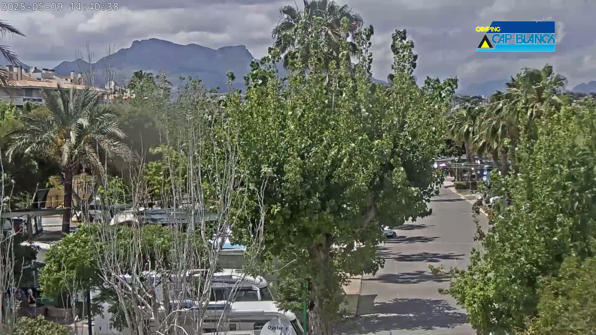 A mostly sunny view of a palm tree-lined street with parked vehicles, buildings, and lush green trees in the foreground, mountains in the background under a partly cloudy sky.