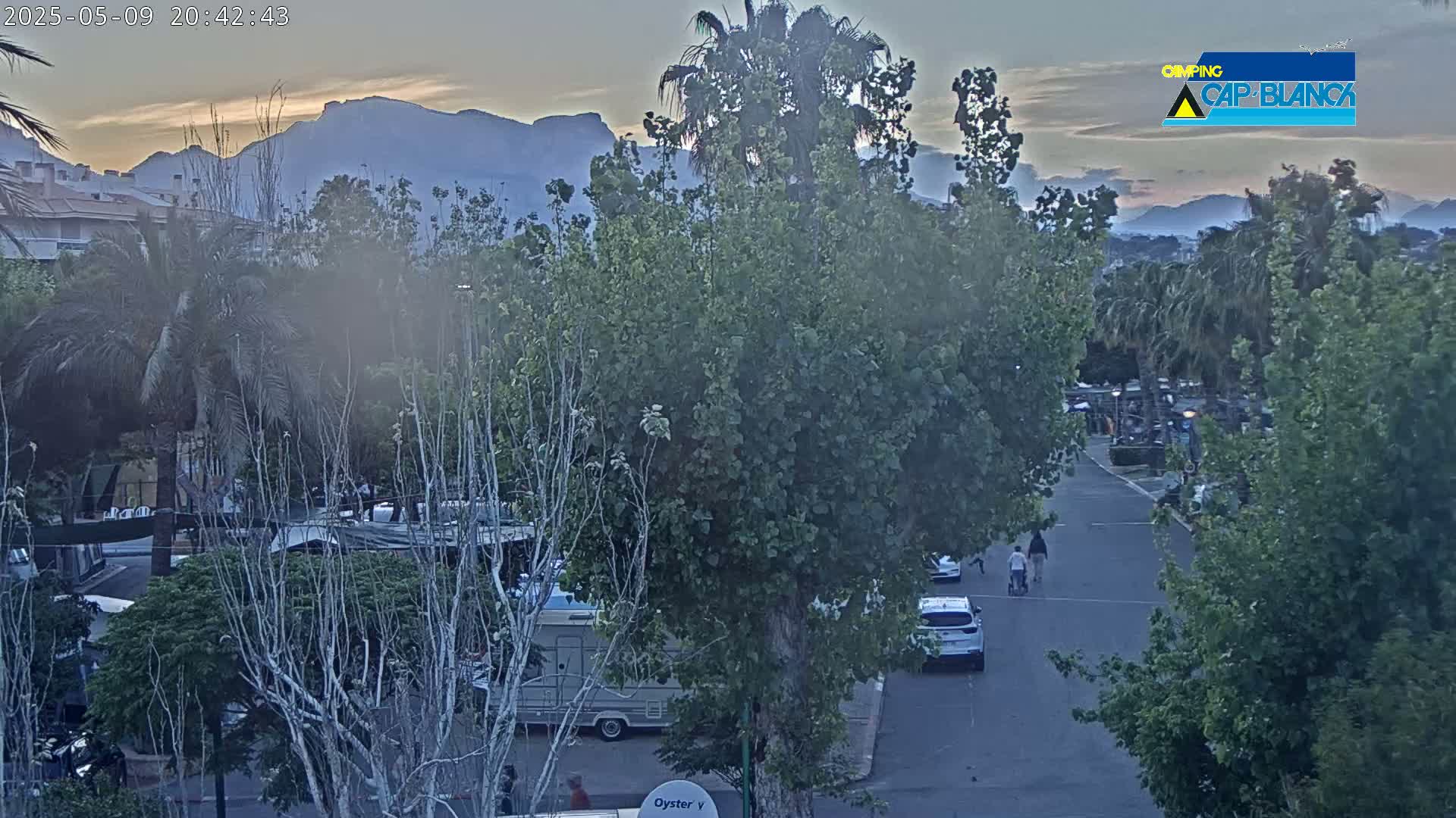 A street scene at dusk shows a road with parked cars and people walking, bordered by lush green trees and shrubs, with mountains visible in the distance under a dusky sky.