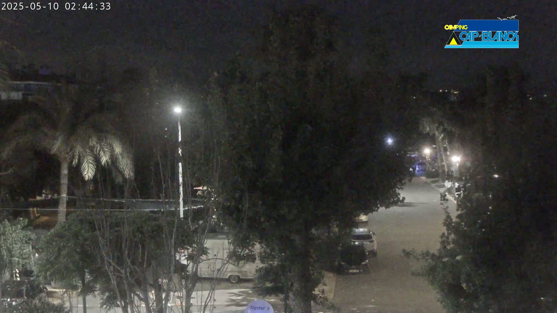 A nighttime view of a street with parked vehicles and trees, illuminated by streetlights.