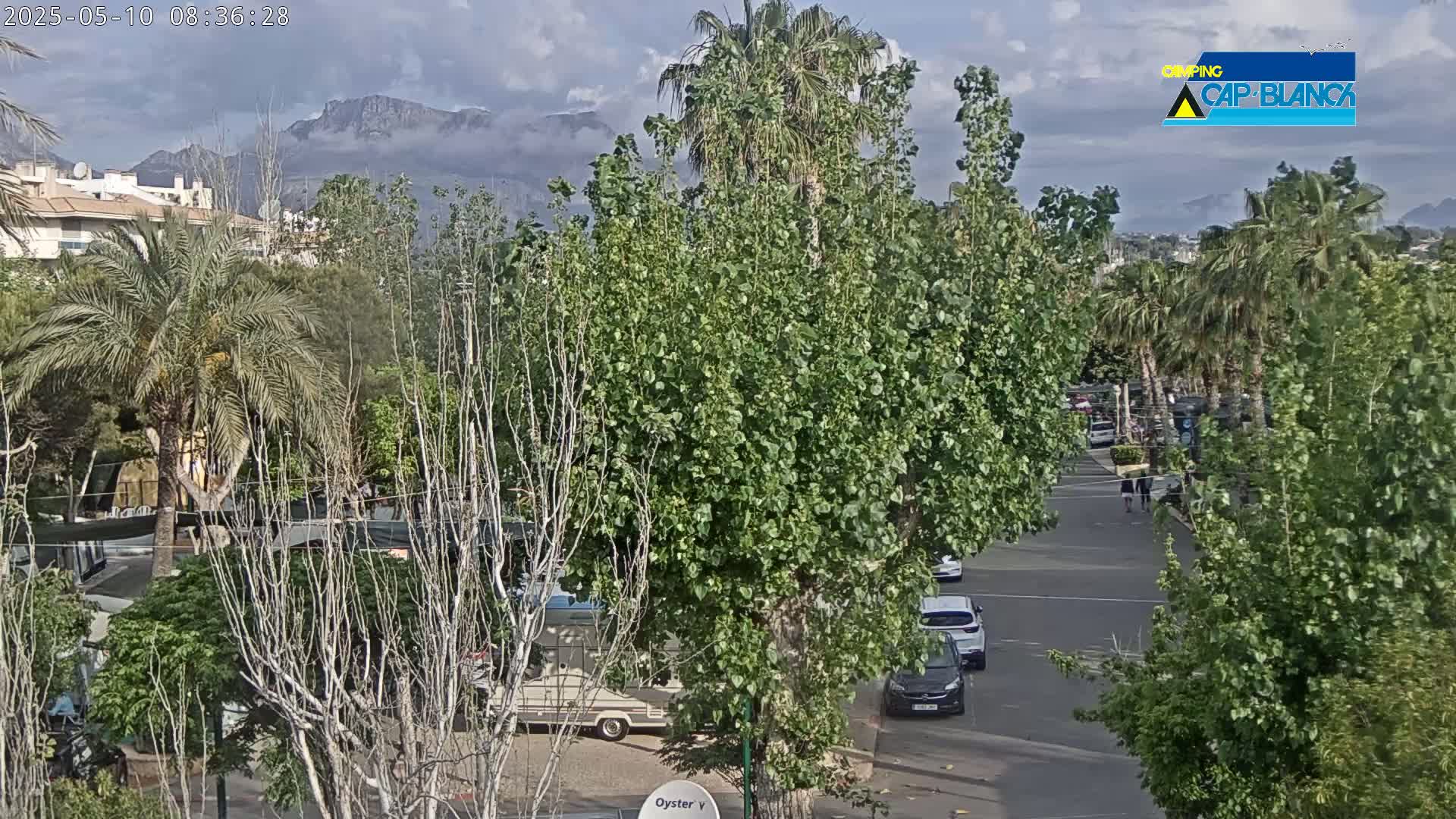 A partly cloudy day reveals a mountain range in the distance, behind lush green trees and a street with several cars parked and driving, some pedestrians are visible.