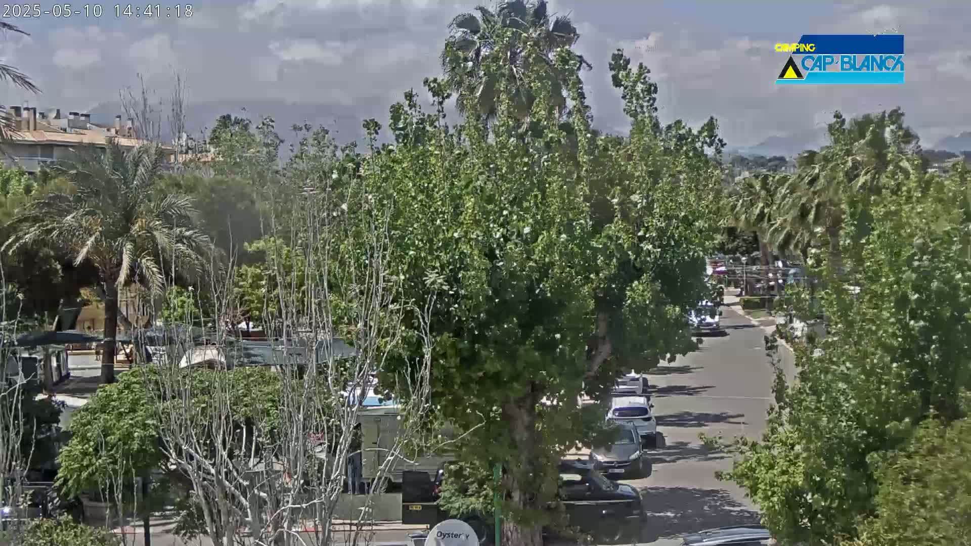 A partly cloudy day reveals a street scene with several cars parked and driving, surrounded by lush green trees and buildings in the background.