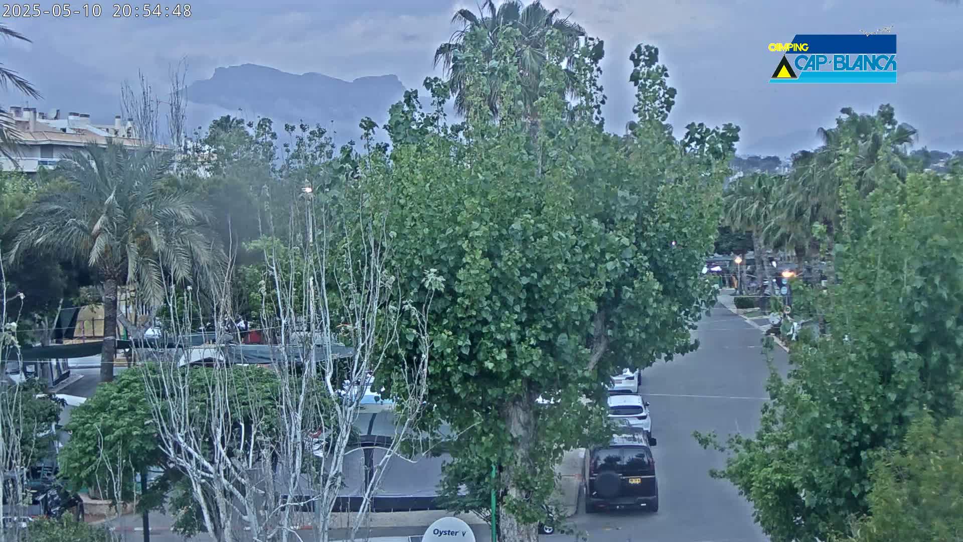 A street scene under an overcast sky shows lush green vegetation, parked cars, and a few buildings in the distance with mountains visible in the background.