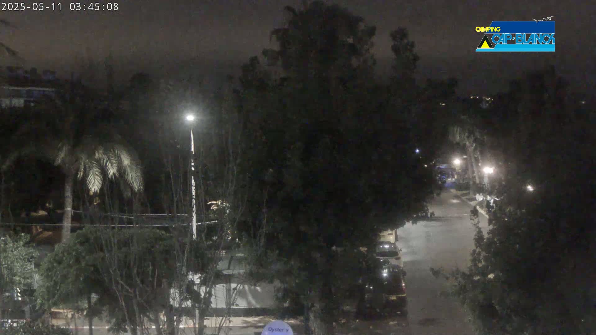 A nighttime view of a street lined with dark trees and parked cars, lit by streetlights under a dark sky.