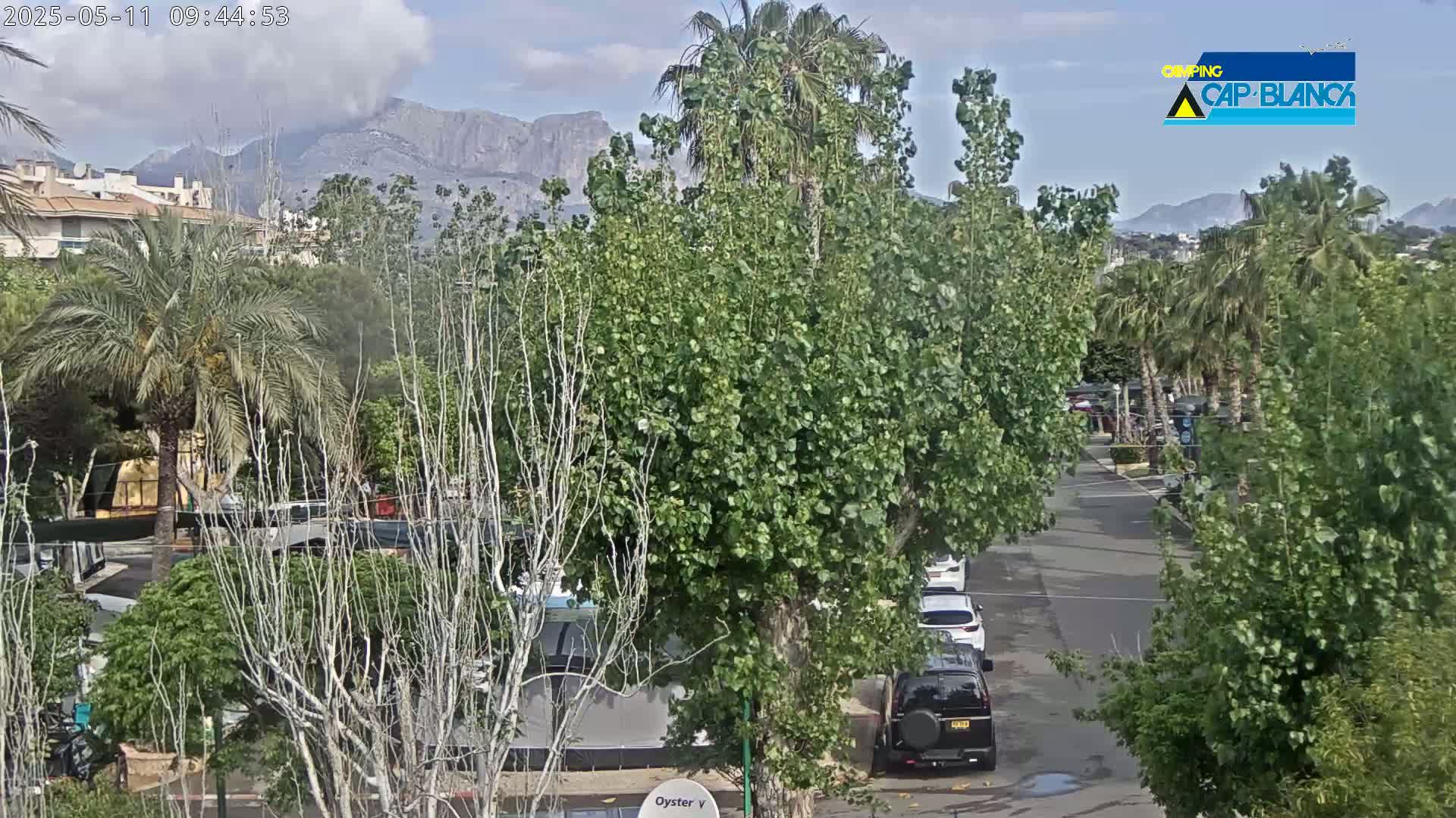A partly cloudy day reveals a mountain range in the distance, with a street scene featuring parked cars and lush green vegetation, including palm trees, in the foreground.