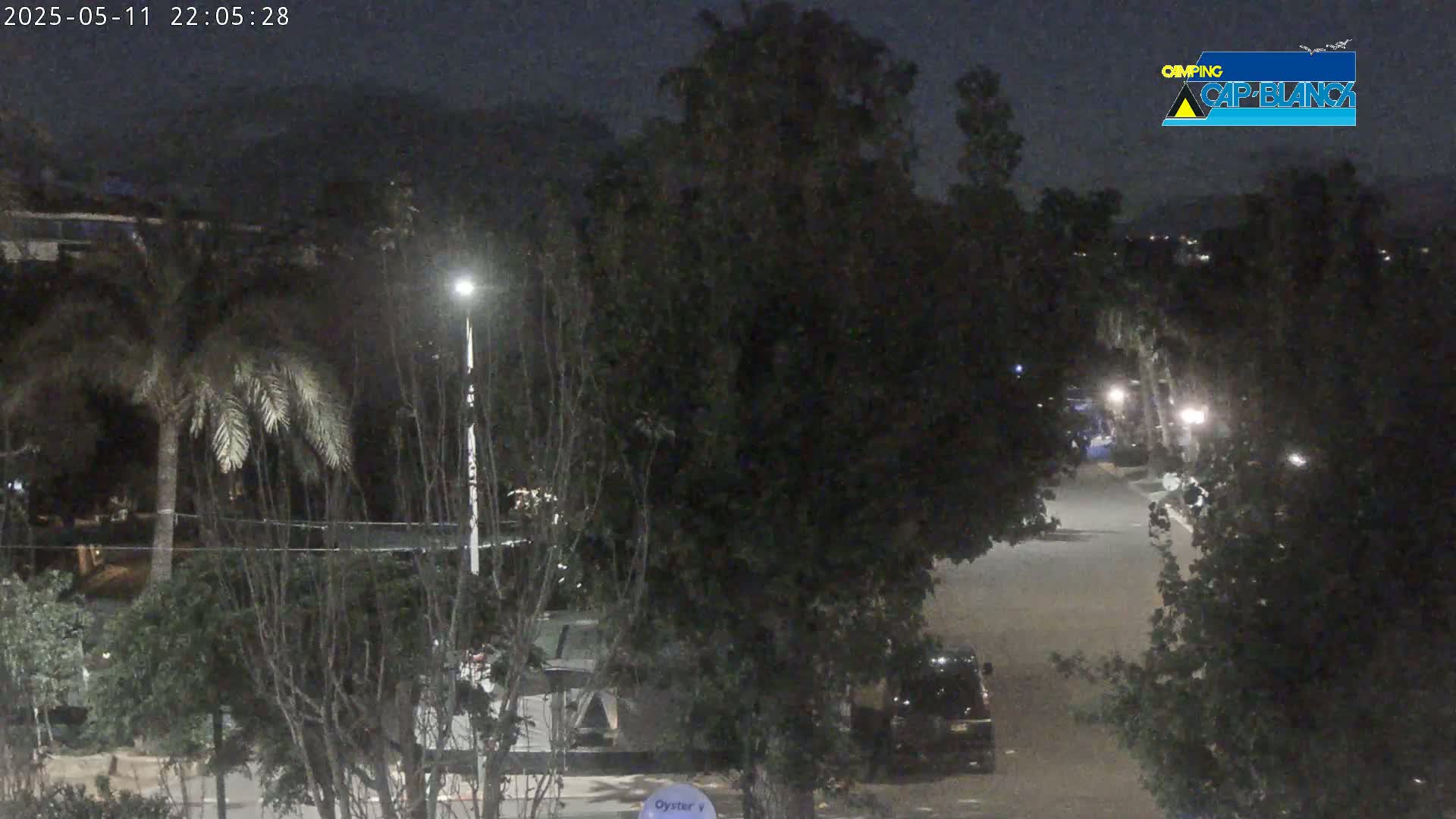 A nighttime view of a residential street lined with trees and parked vehicles under a dark sky.