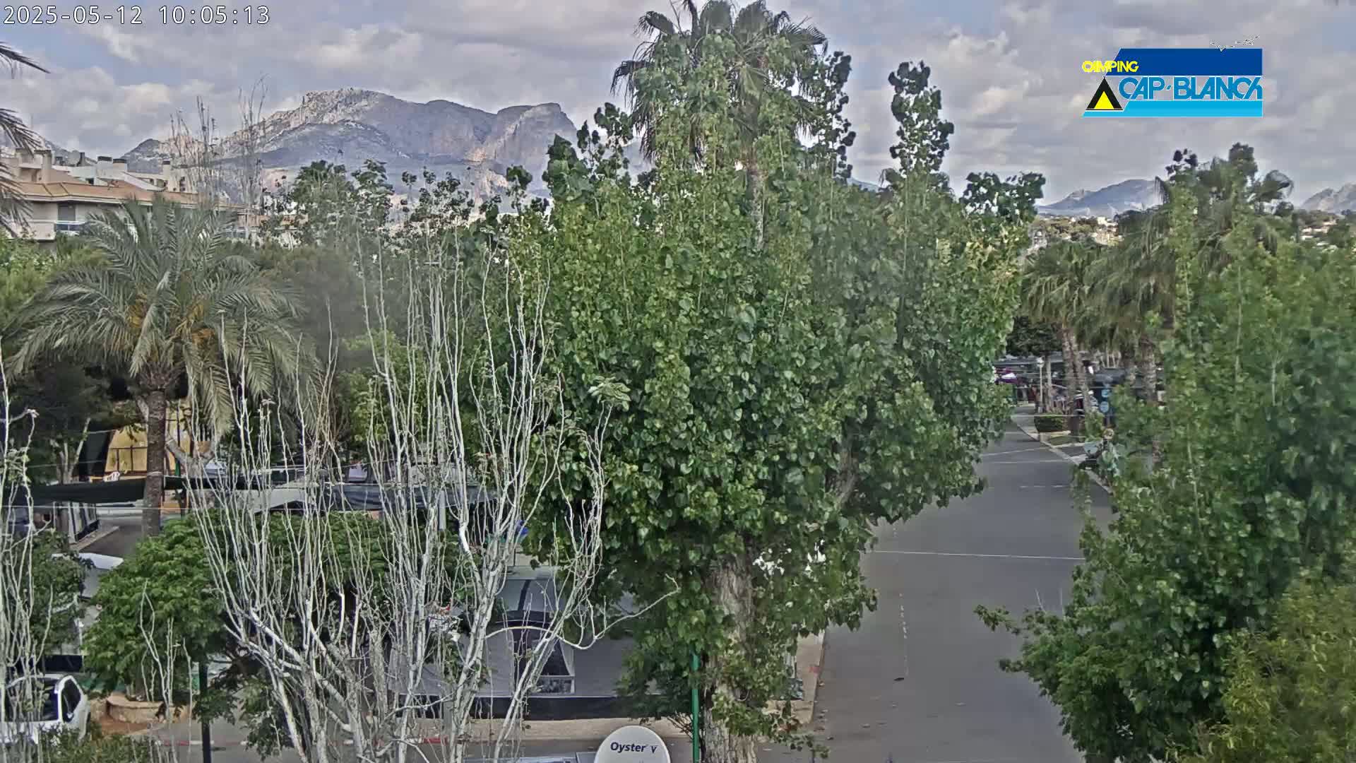 A partly cloudy day reveals a street scene with lush green trees, buildings, and mountains in the distance.