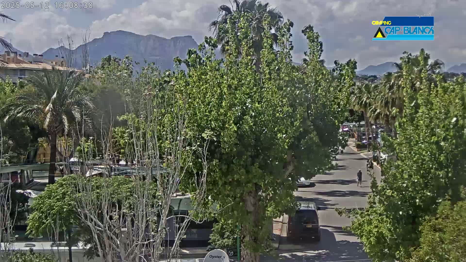 A partly cloudy day reveals a street scene with lush green trees, parked cars, and a person walking, all set against a backdrop of distant mountains.