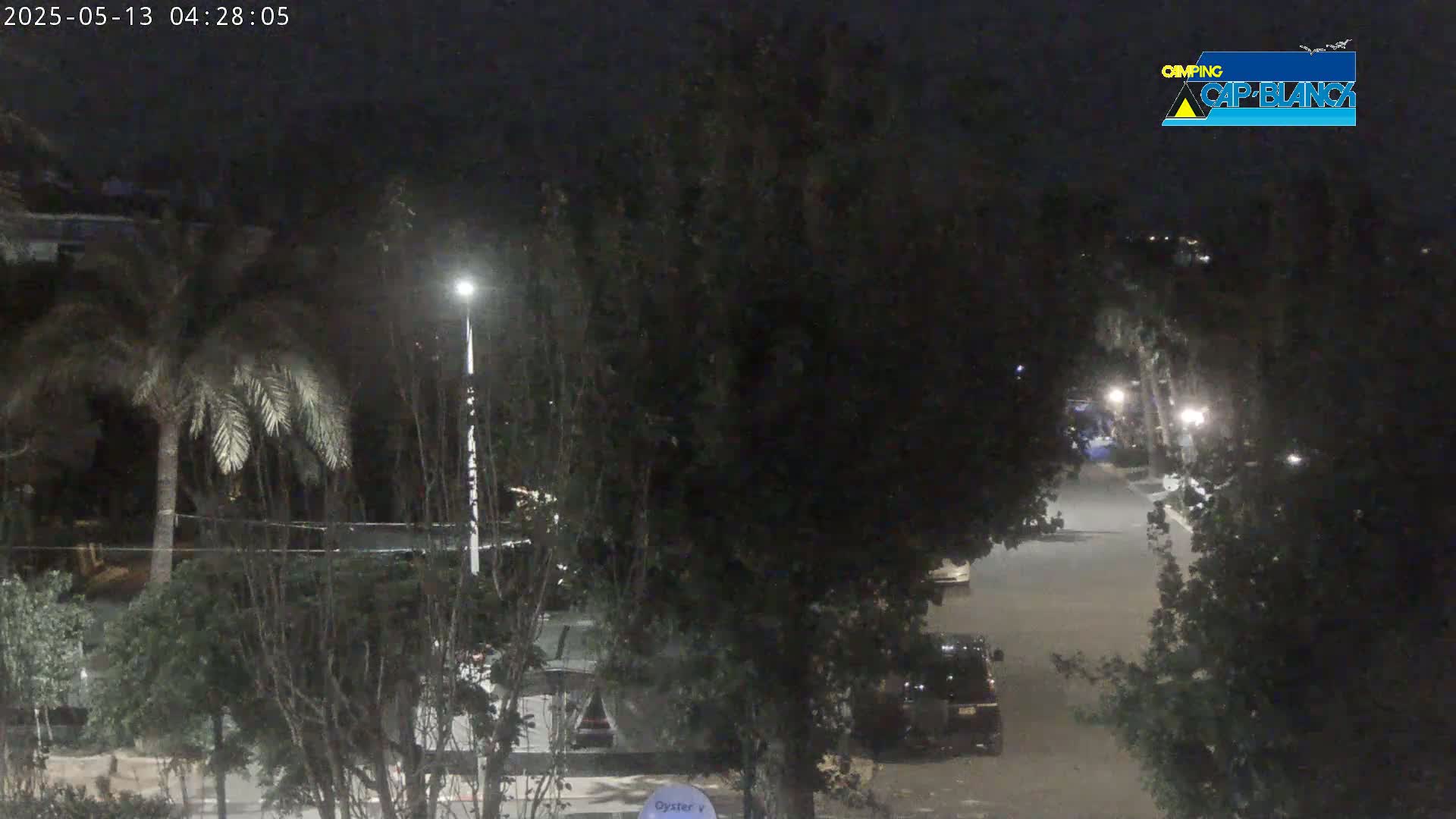 A nighttime view of a street lined with trees and parked vehicles, illuminated by streetlights.