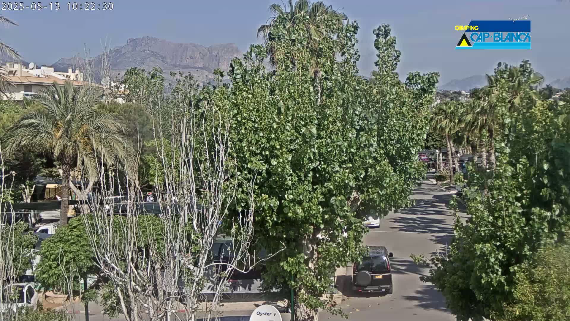 A sunny day reveals a street scene nestled among lush green trees and palm trees, with distant mountains visible in the background.