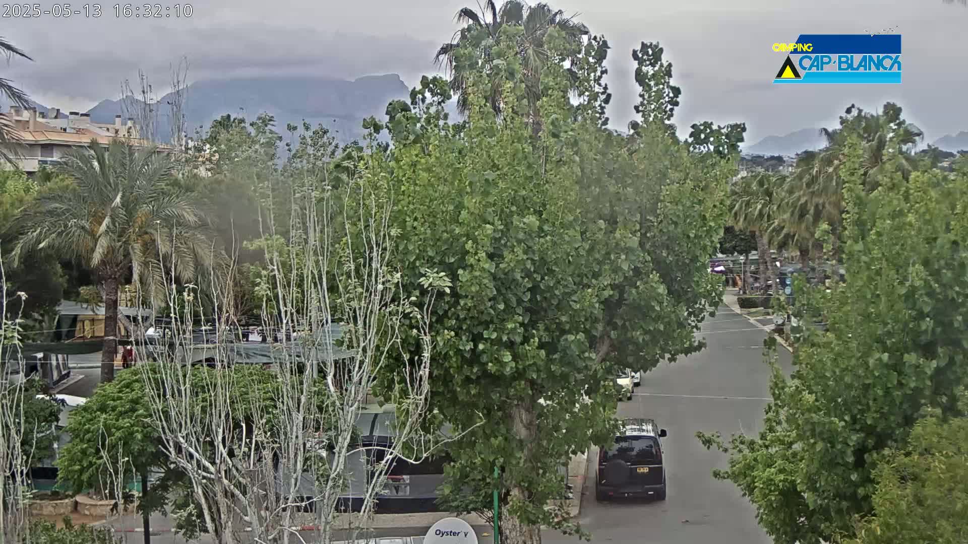 A street scene with overcast skies shows a residential area with palm trees and lush green vegetation, mountains in the distance, and a dark-colored van parked on the road.