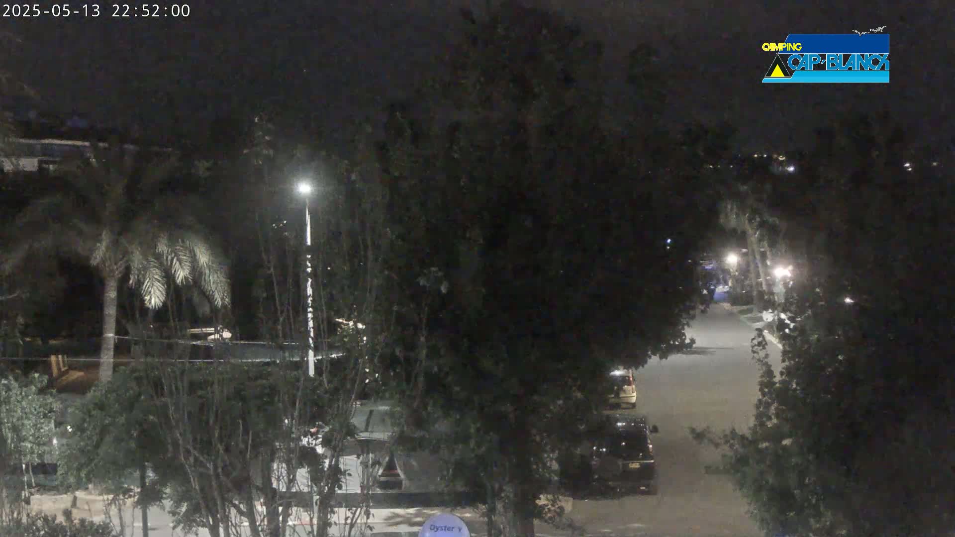 A nighttime view of a dark street lined with trees and parked cars, illuminated by streetlights.