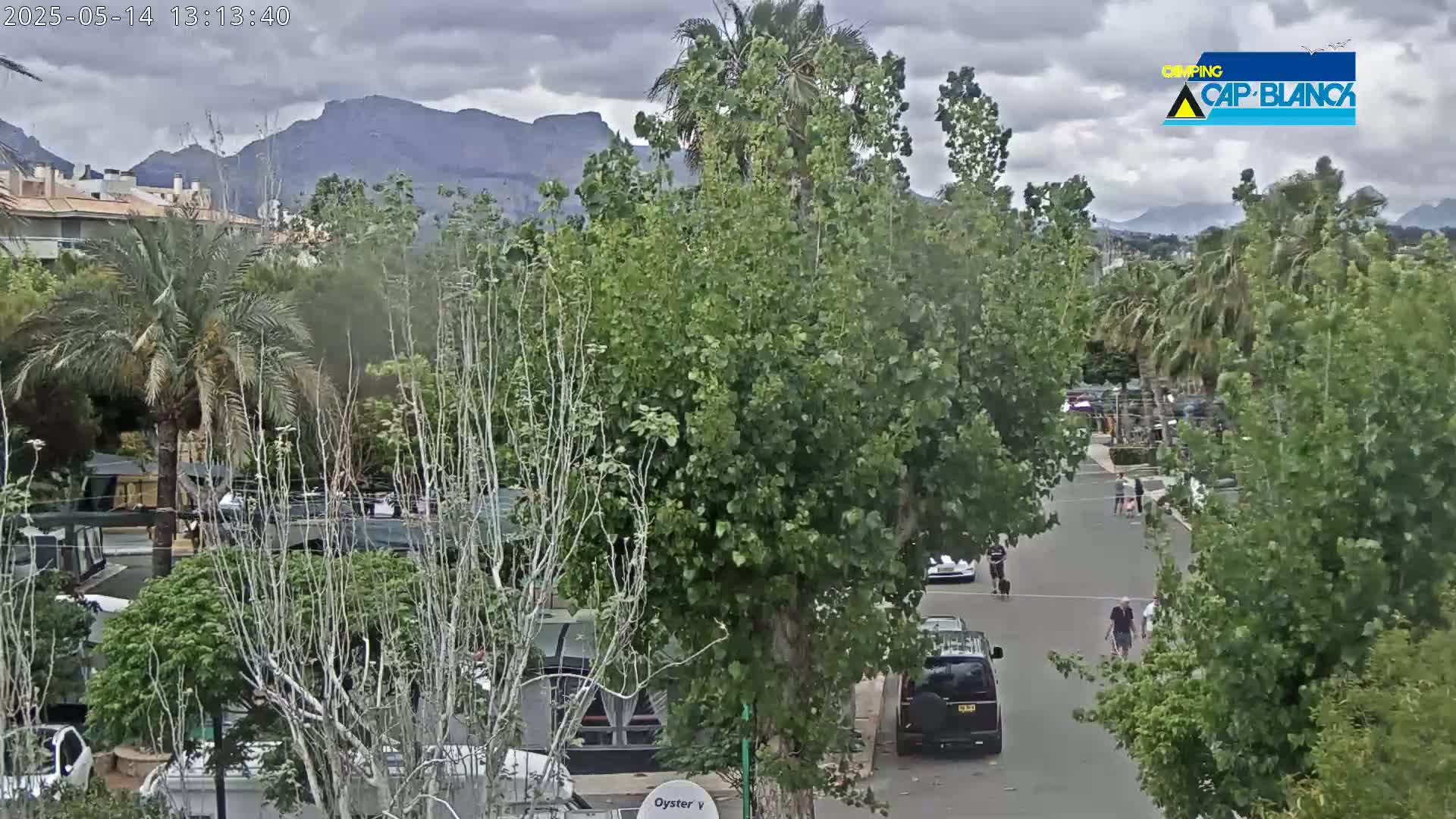 A street scene shows a partly cloudy day with mountains in the background, several cars parked and driving down a road lined with lush green trees and palm trees, and a few pedestrians walking.
