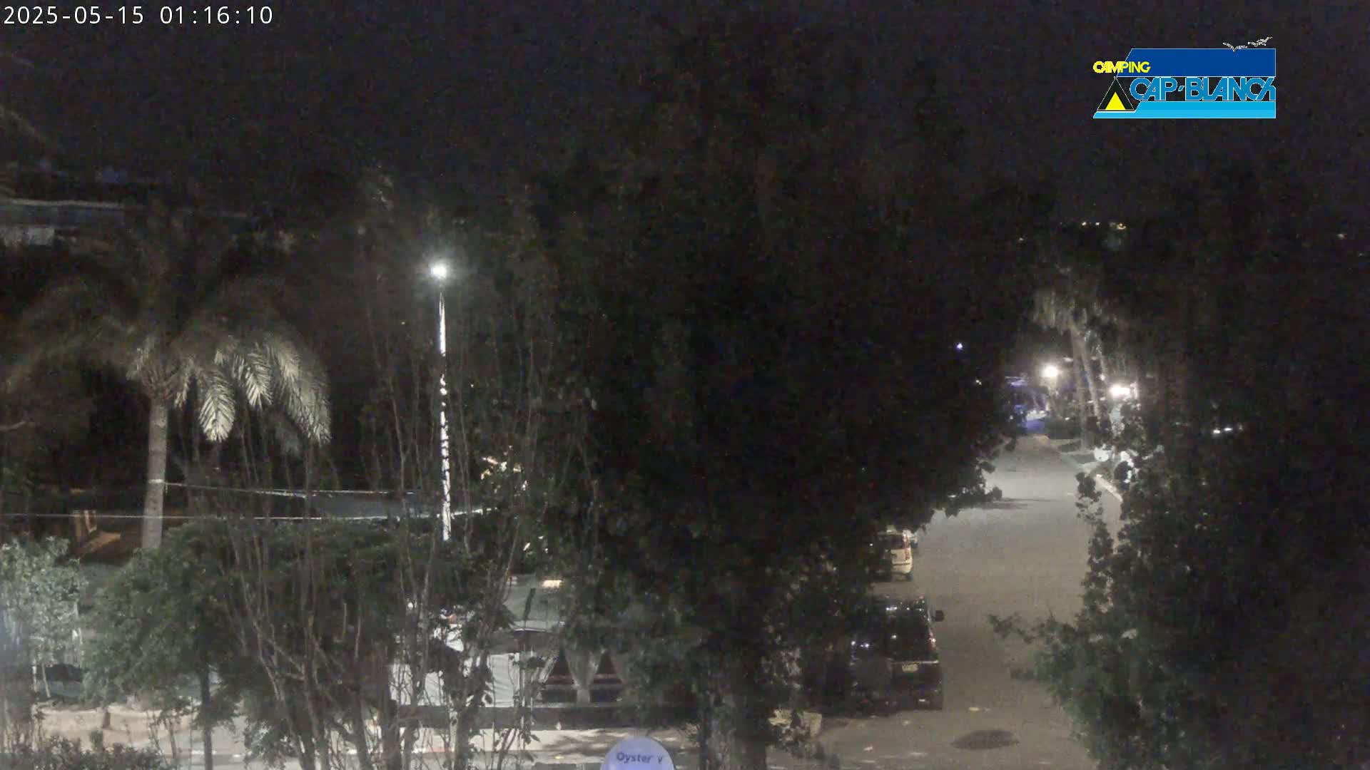A nighttime street scene shows a dimly lit road with parked cars partially obscured by trees and palm trees under a dark sky.
