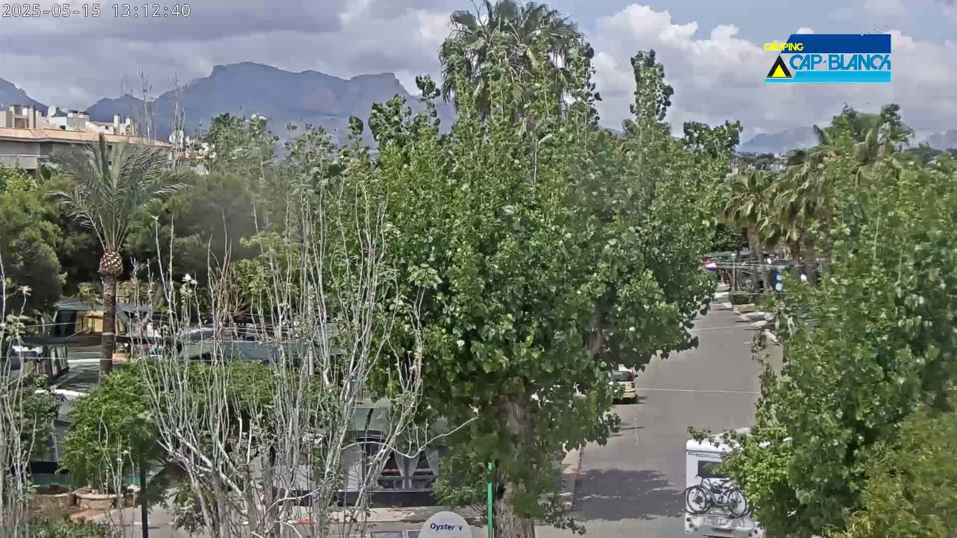 A partly cloudy day reveals a street scene with camper vans parked amongst leafy green trees and buildings, mountains visible in the background.
