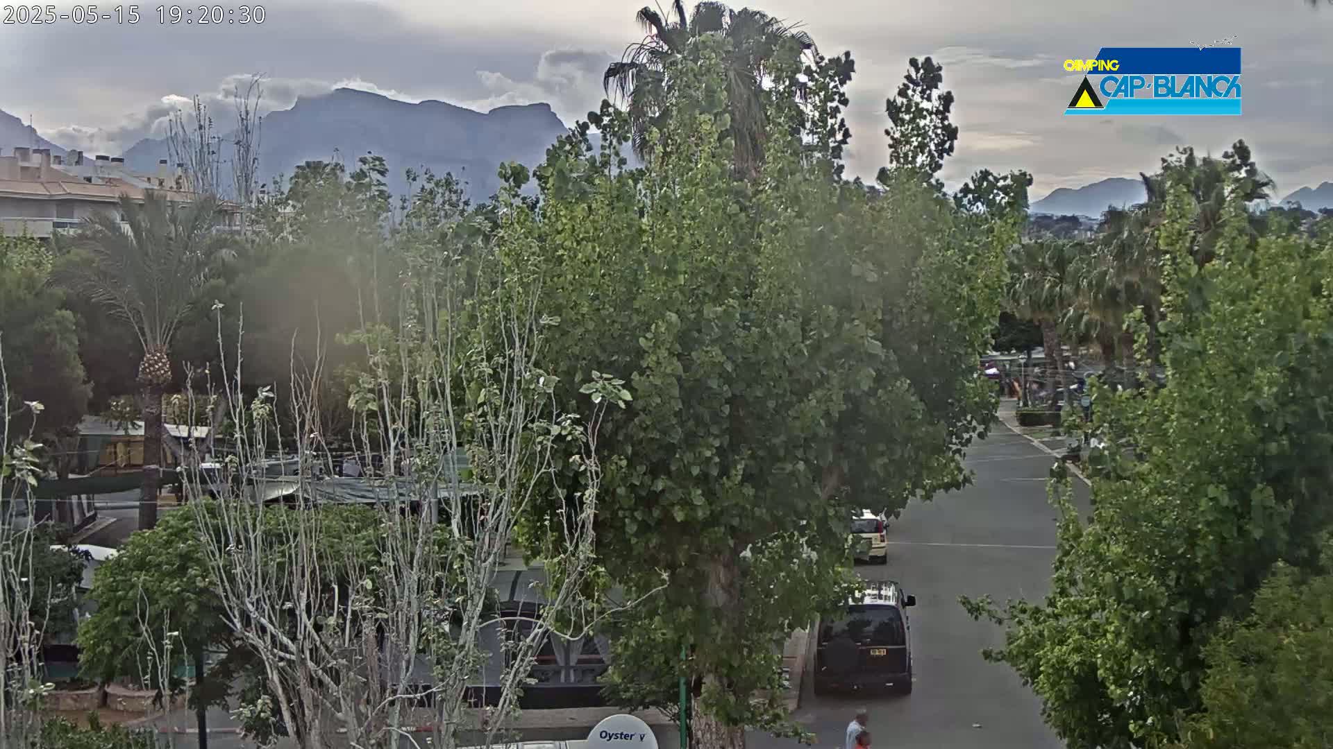 An overcast sky hangs over a tree-lined street with several vehicles parked and a few people walking, all in front of a mountain range in the distance.