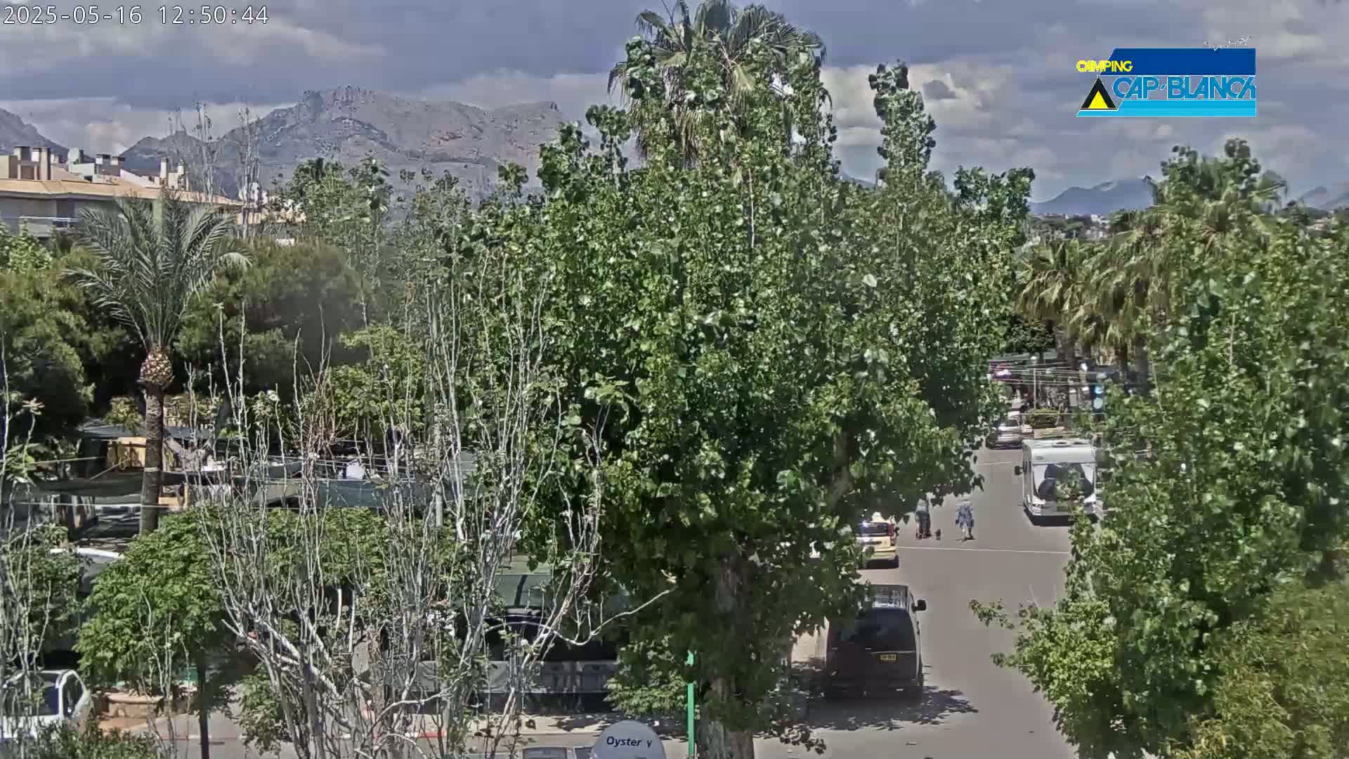A partly cloudy day reveals a street scene with cars and pedestrians, nestled among lush green trees and buildings, with mountains visible in the distance.