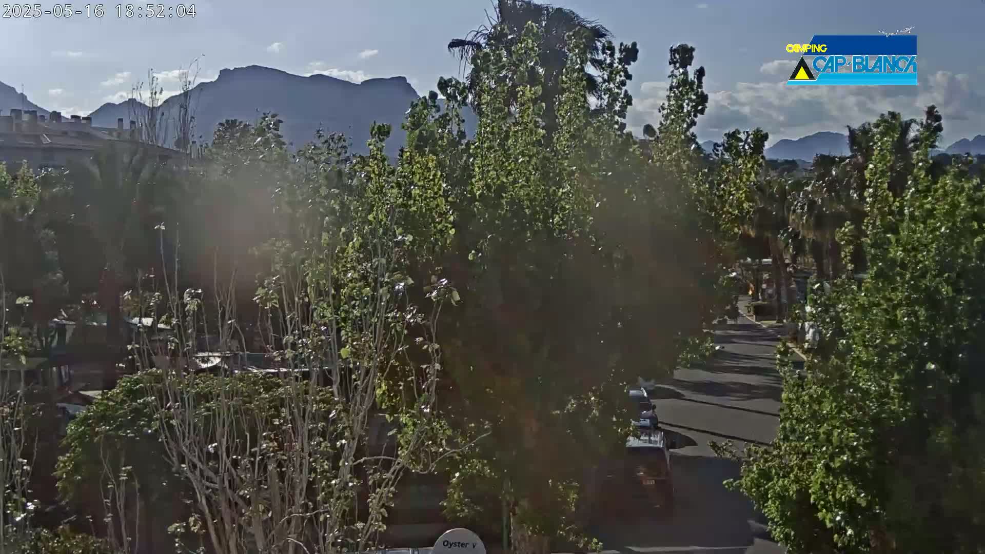 A partly sunny view of a tree-lined street and residential buildings with mountains in the background.