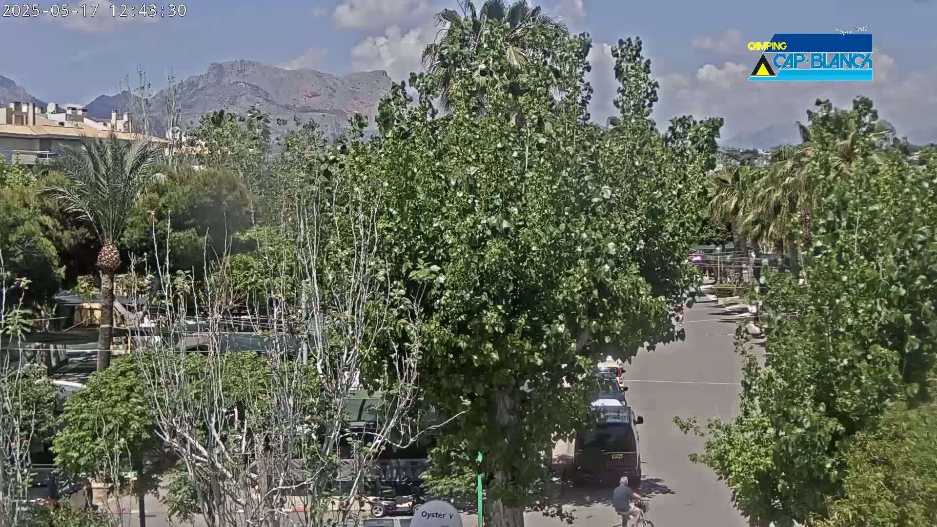 A mostly sunny day reveals a street scene with lush green trees lining a road, buildings in the background, and a few vehicles and people visible.