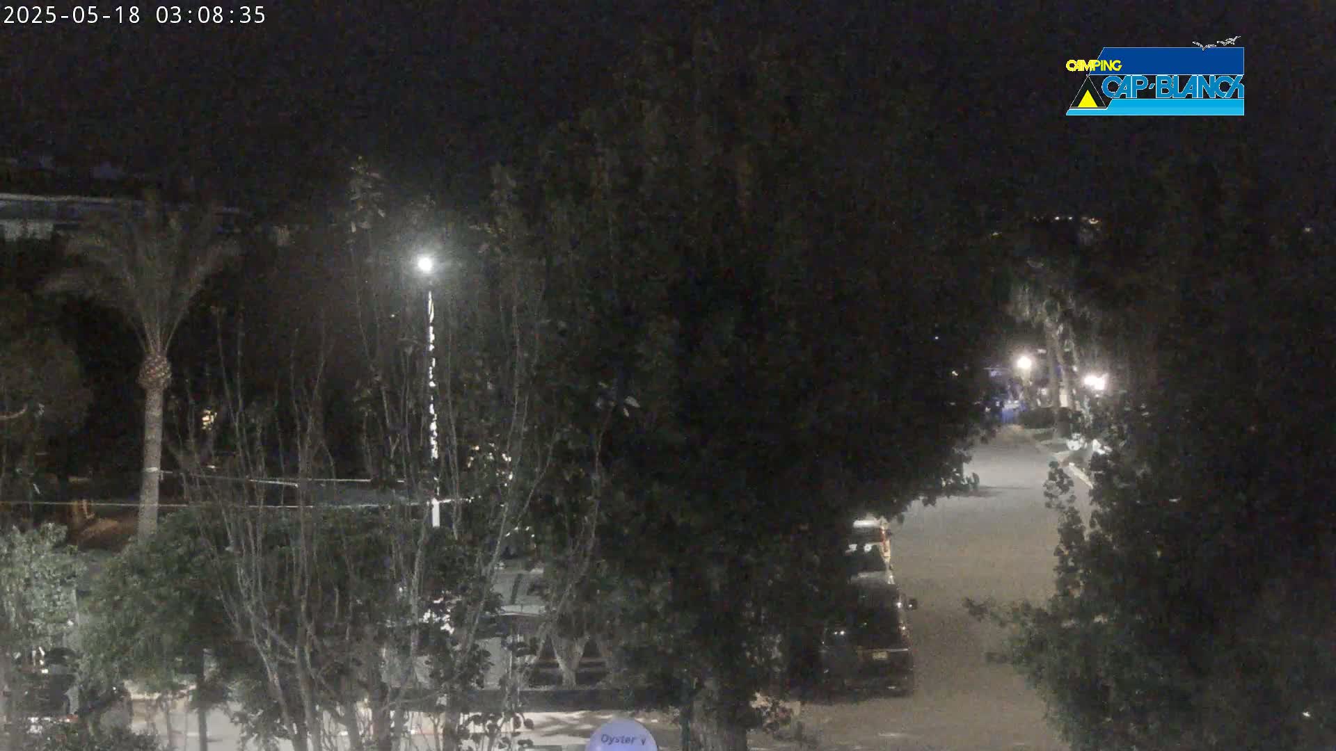 A nighttime view of a street lined with dark trees and sparsely lit parked vehicles.