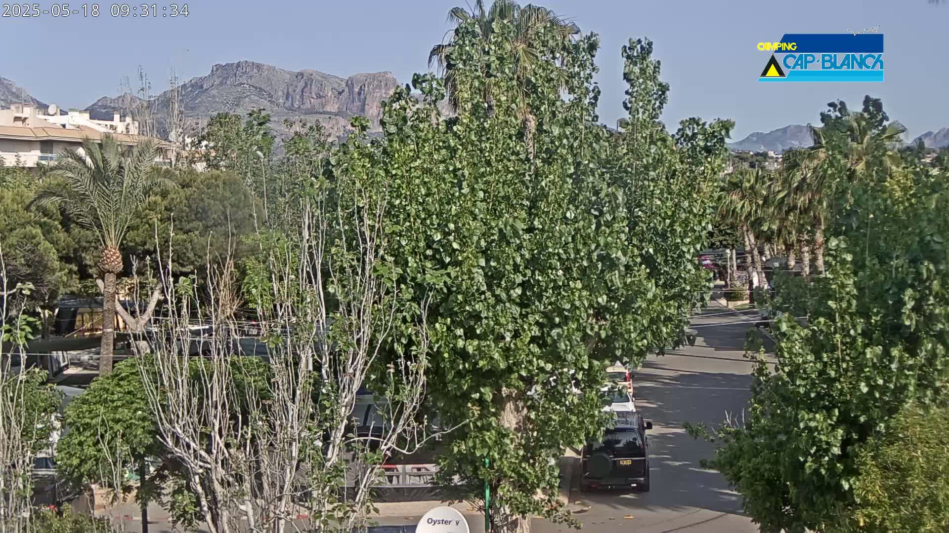 A street scene on a clear day shows several cars parked and driving past lush green trees, buildings, and mountains in the distance.
