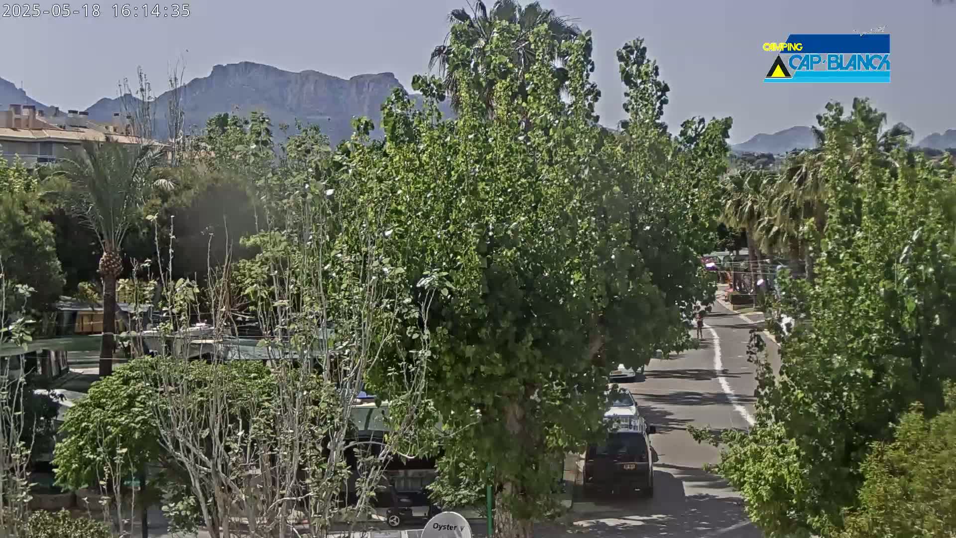 A sunny day reveals a residential street lined with lush green trees and vegetation, mountains visible in the background.