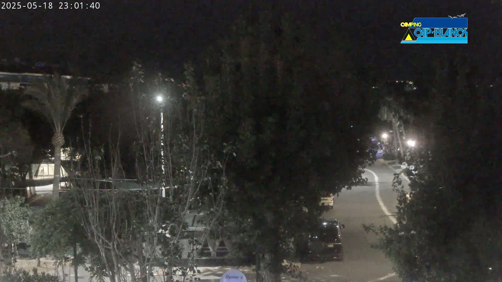 A nighttime view of a road curving through a sparsely lit area with trees and parked cars.