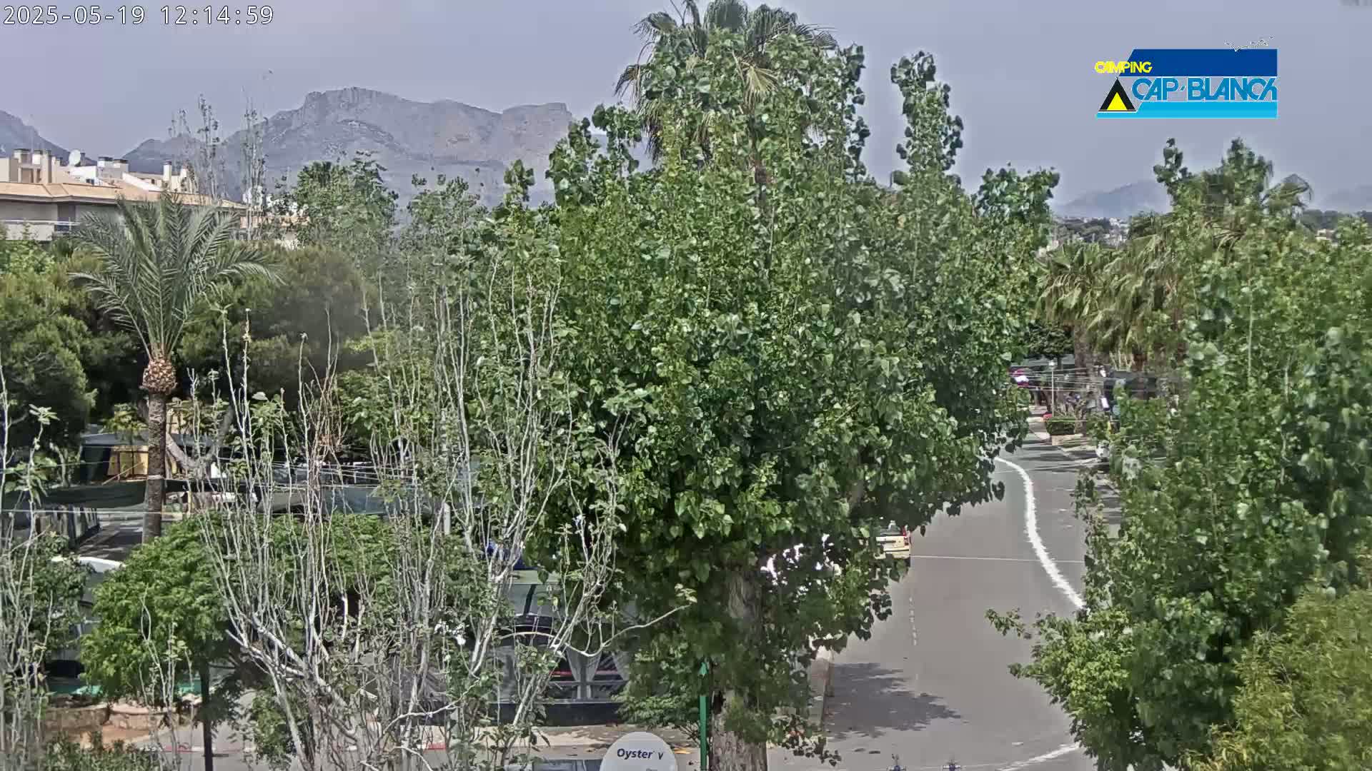 A street scene shows a road curving through leafy green trees and shrubs, with mountains in the background under a hazy sky.