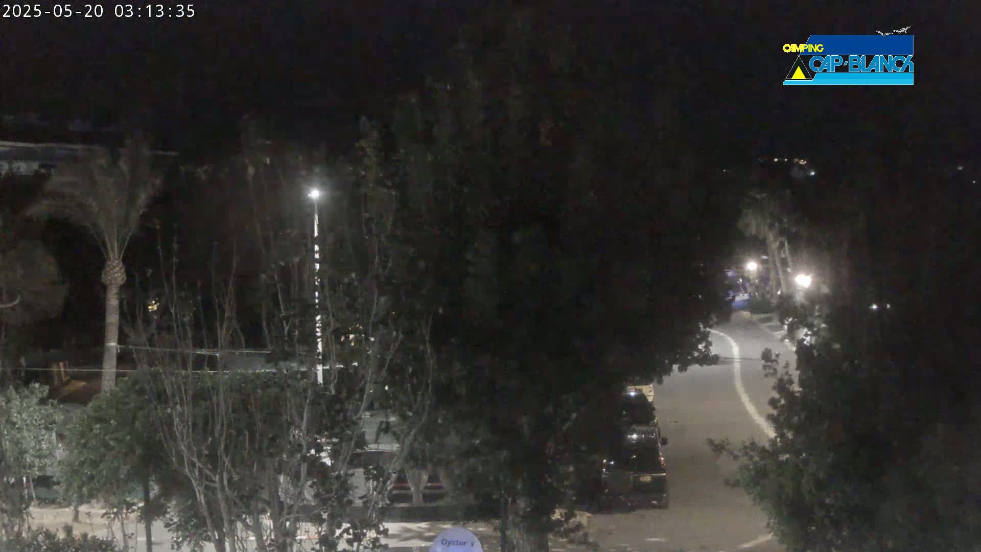 A nighttime view of a road curving through a dark, tree-lined area, with a few parked vehicles and streetlights visible.
