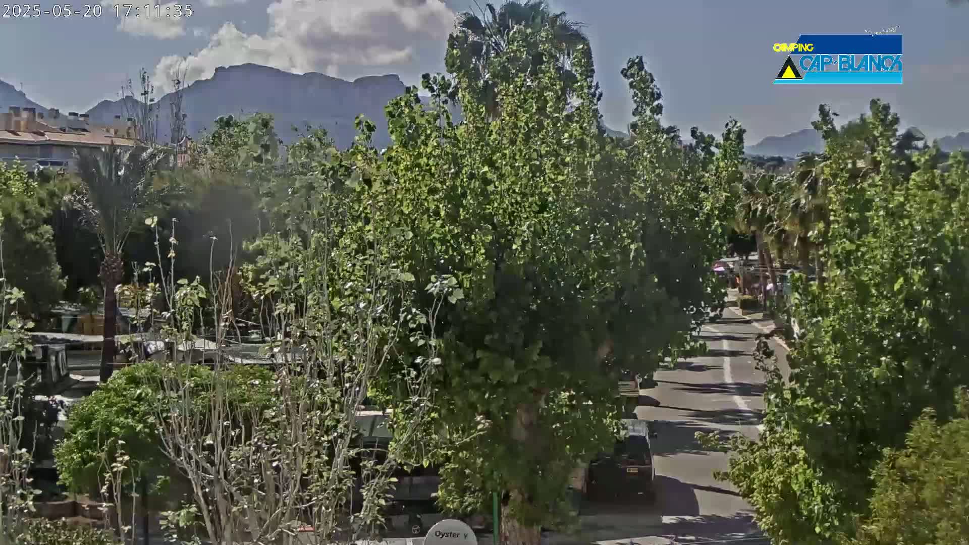A partly sunny day reveals a road lined with lush green trees and shrubs, leading to mountains in the distance.