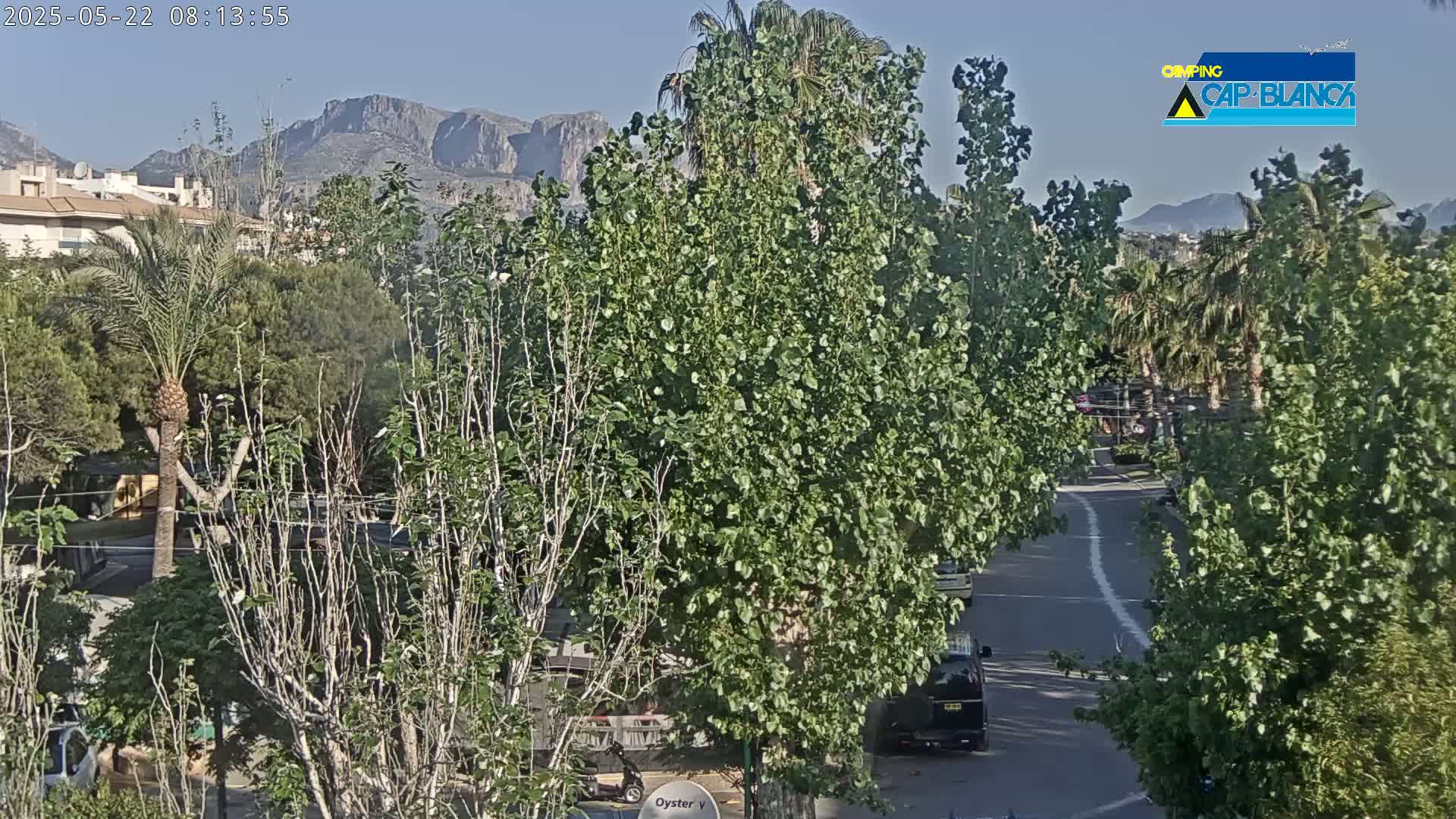 A partly sunny view of a residential street lined with lush green trees and palm trees, with mountains visible in the background.