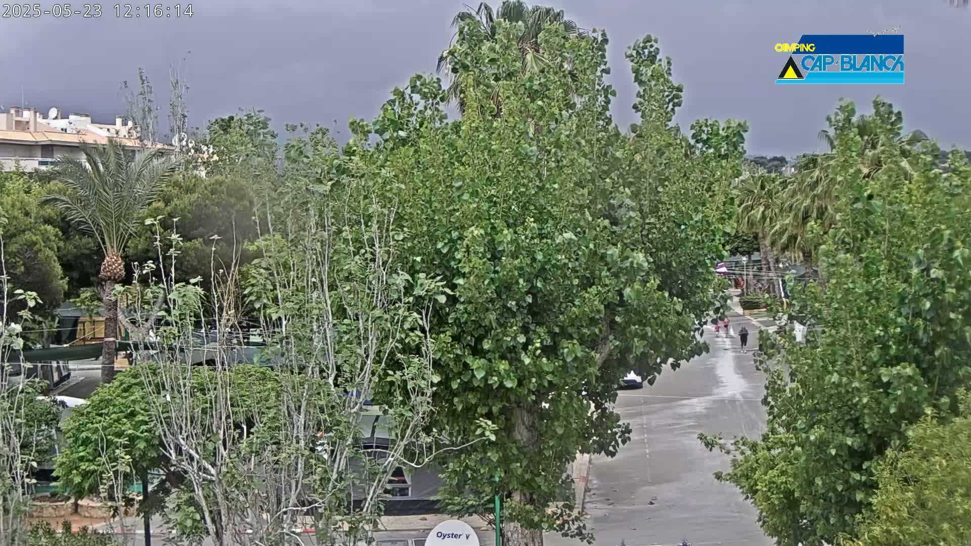 A street scene with overcast skies shows lush green trees and vegetation surrounding a paved road with a few people walking.