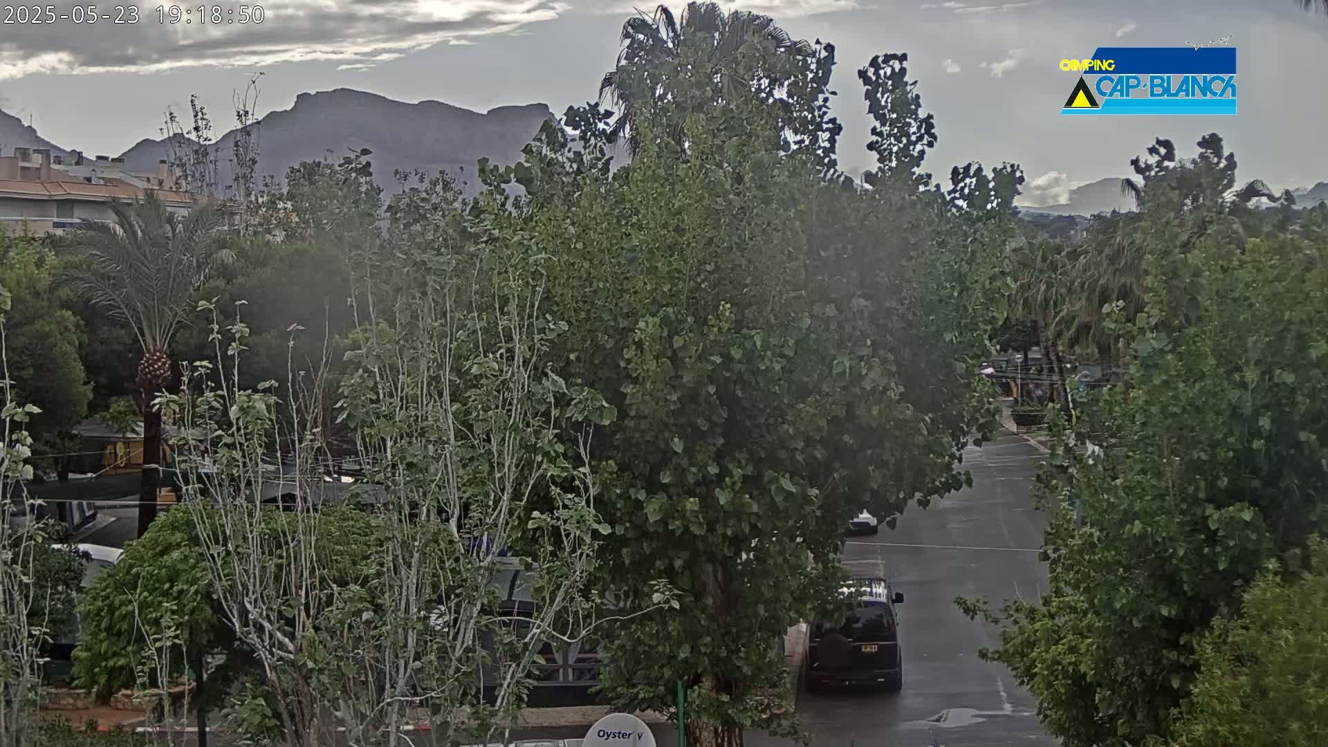 A wet street scene shows lush green trees, a dark-colored van, and distant mountains under a cloudy sky.
