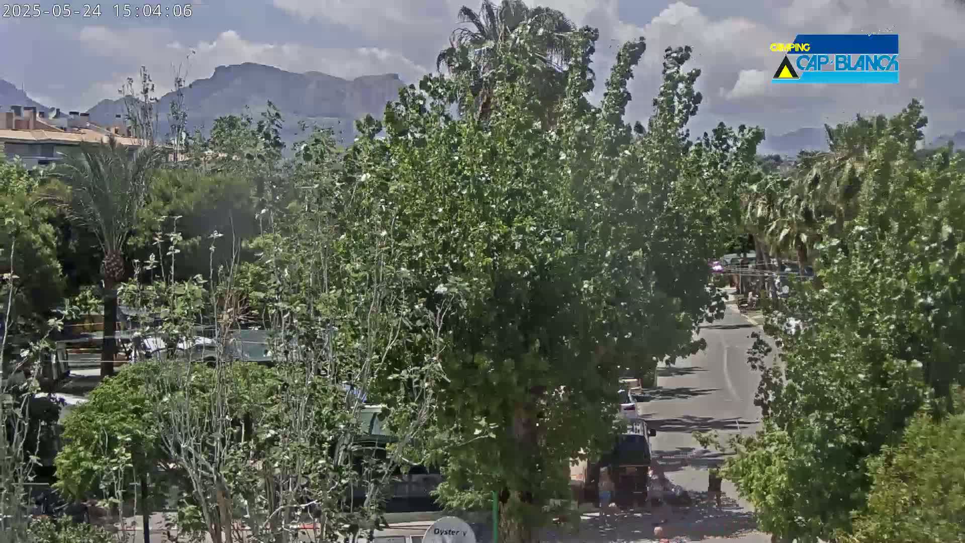 A partly sunny day shows a street lined with lush green trees and parked cars, with mountains visible in the distance.