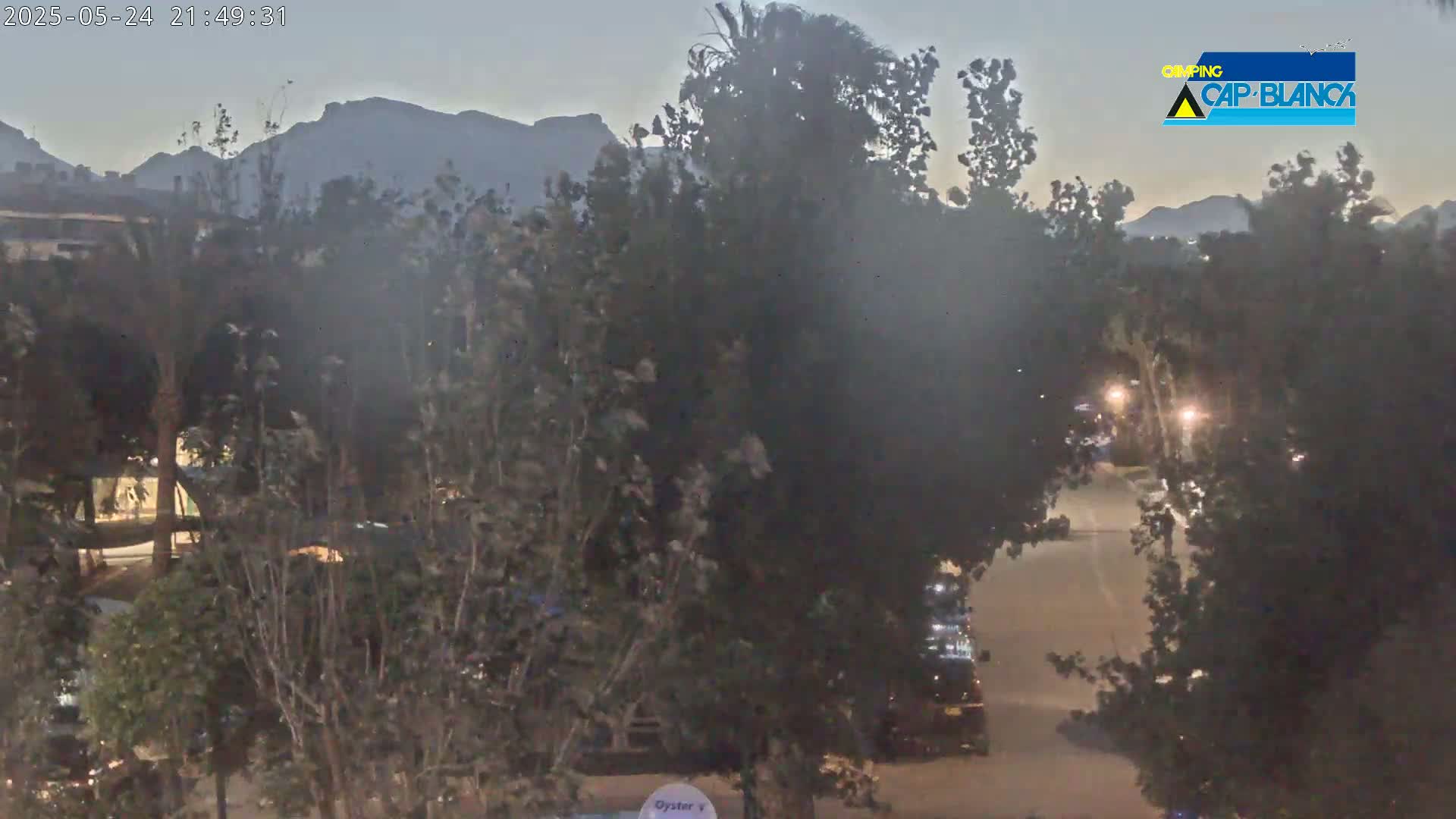 A nighttime view of a street lined with trees and shrubs, with mountains in the background under a dusky sky.