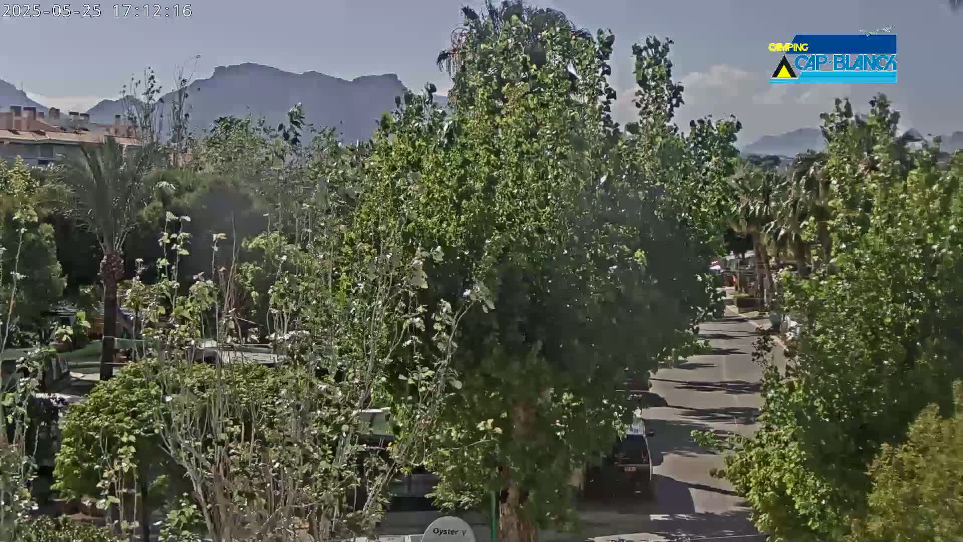 A sunny outdoor scene shows a road lined with lush green trees and vegetation, with mountains visible in the distance.