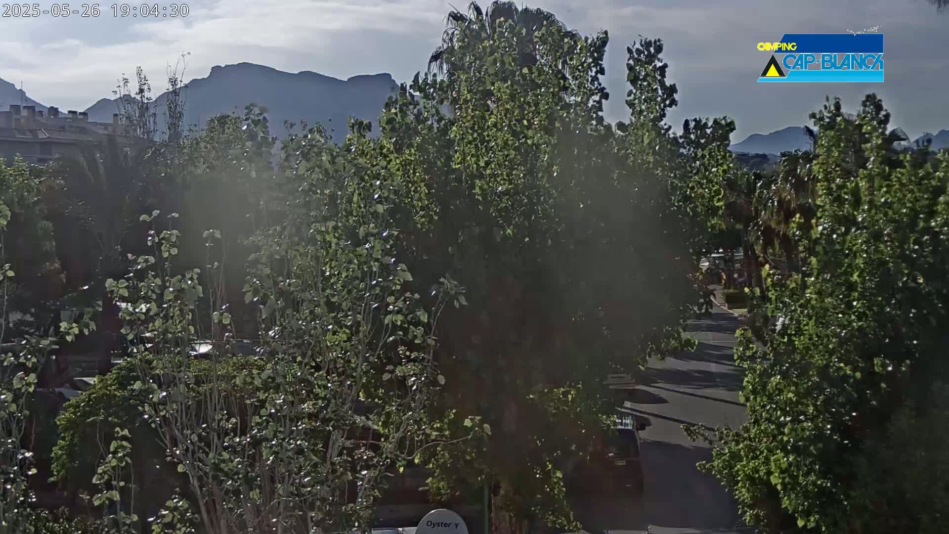 A partly cloudy day reveals a street lined with lush green trees and buildings, with mountains in the background.