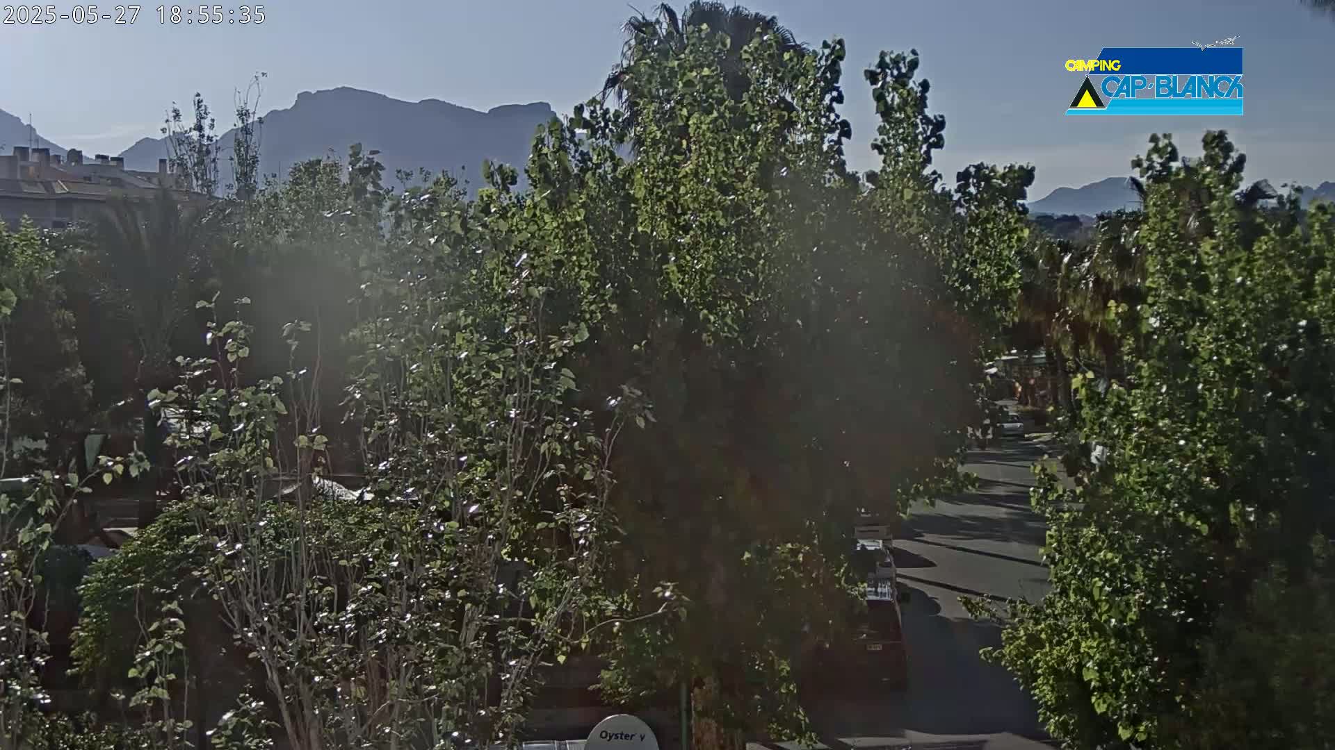 A street lined with lush green trees and shrubs, with mountains visible in the background under a clear, bright sky.