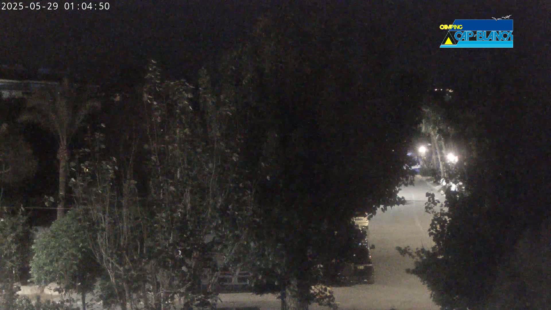 A nighttime view shows a dimly lit street partially obscured by dark trees and bushes.