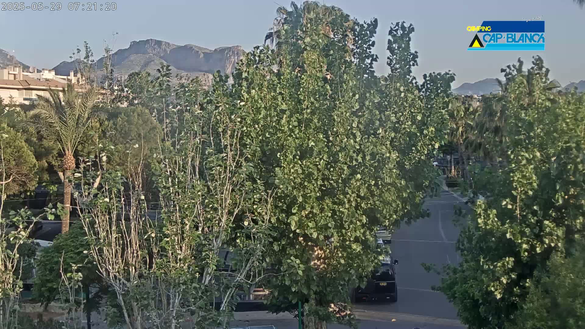 A street scene on a sunny day shows lush green trees and shrubs, with mountains visible in the distance, and a dark-colored vehicle parked on a roadway.