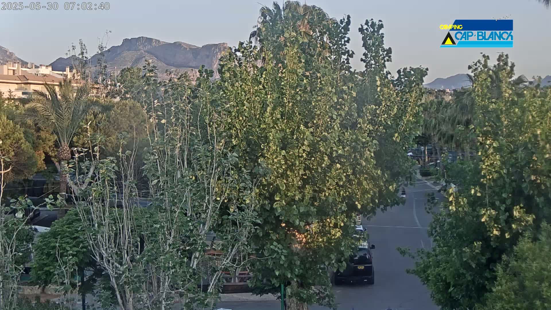A street scene shows lush green trees and bushes lining a road, with mountains in the background under a clear sky.