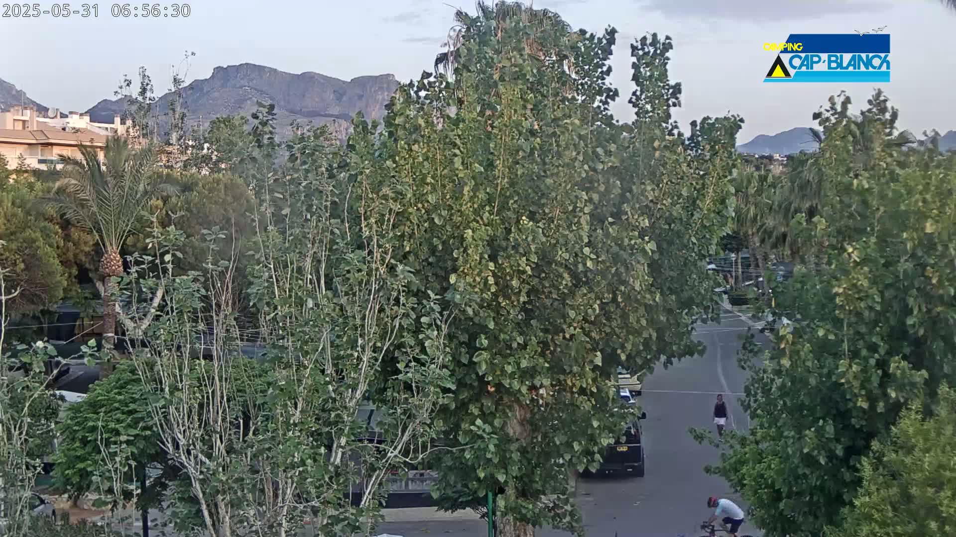 A street scene with lush green trees and mountains in the background under a mostly clear sky, showing two people, one walking and one bicycling along a road.
