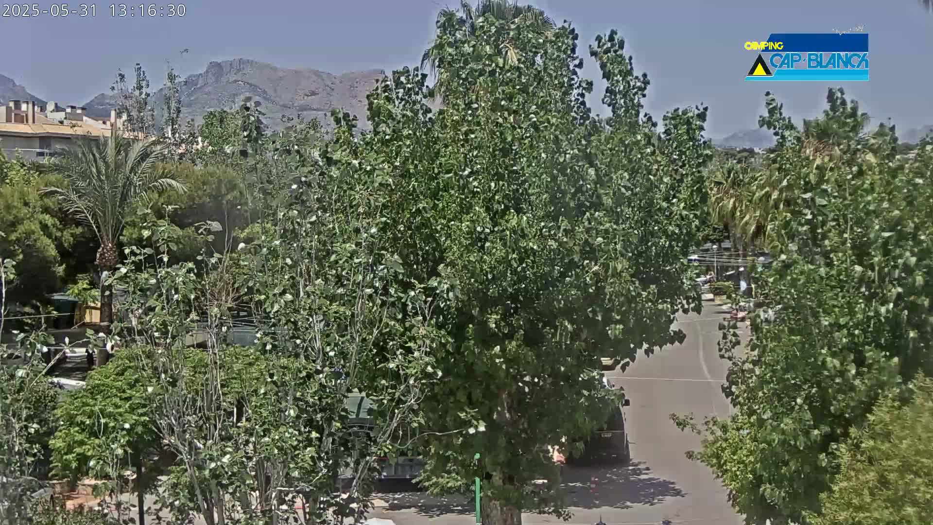 A sunny day overlooking a residential area with lush green trees, a paved road, and distant mountains.