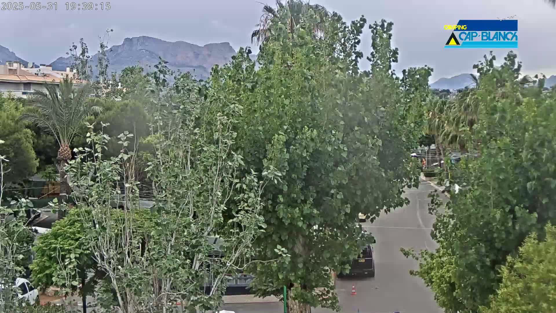 Altea, Inside Camping Cap-Blanch - Alicante, Valencia, Spain