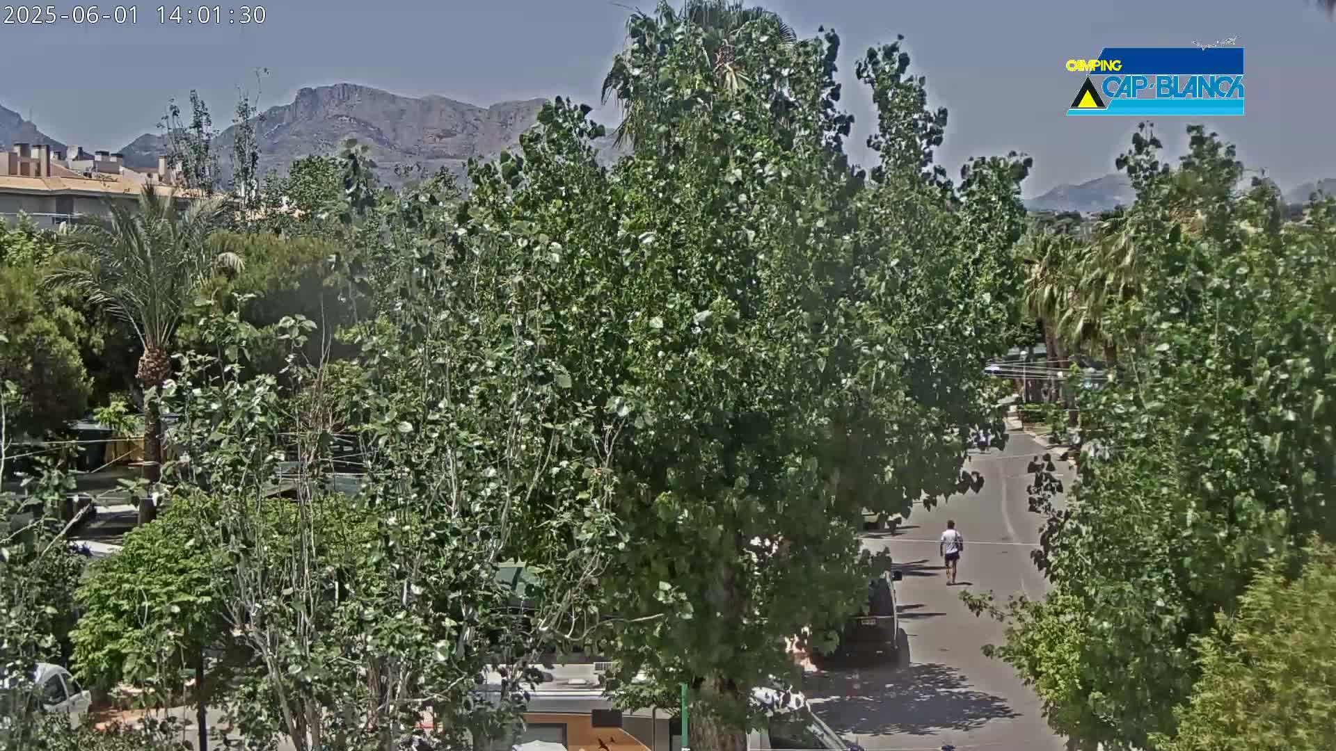 A sunny day reveals a street scene with lush green trees, buildings partially visible in the background, a person walking down a street, and mountains in the distance.