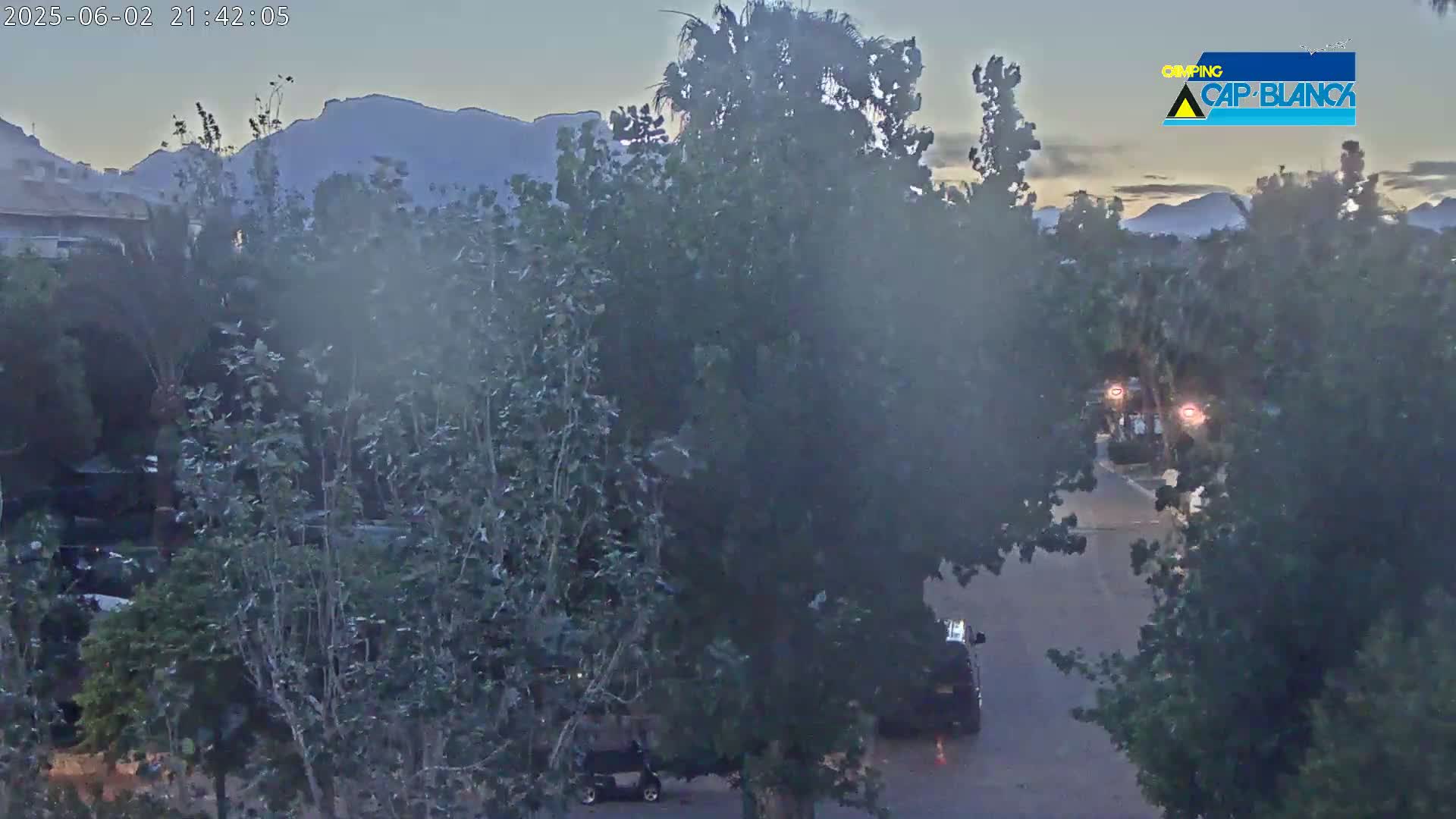 A hazy dusk scene shows a street lined with lush trees and distant mountains under a twilight sky.