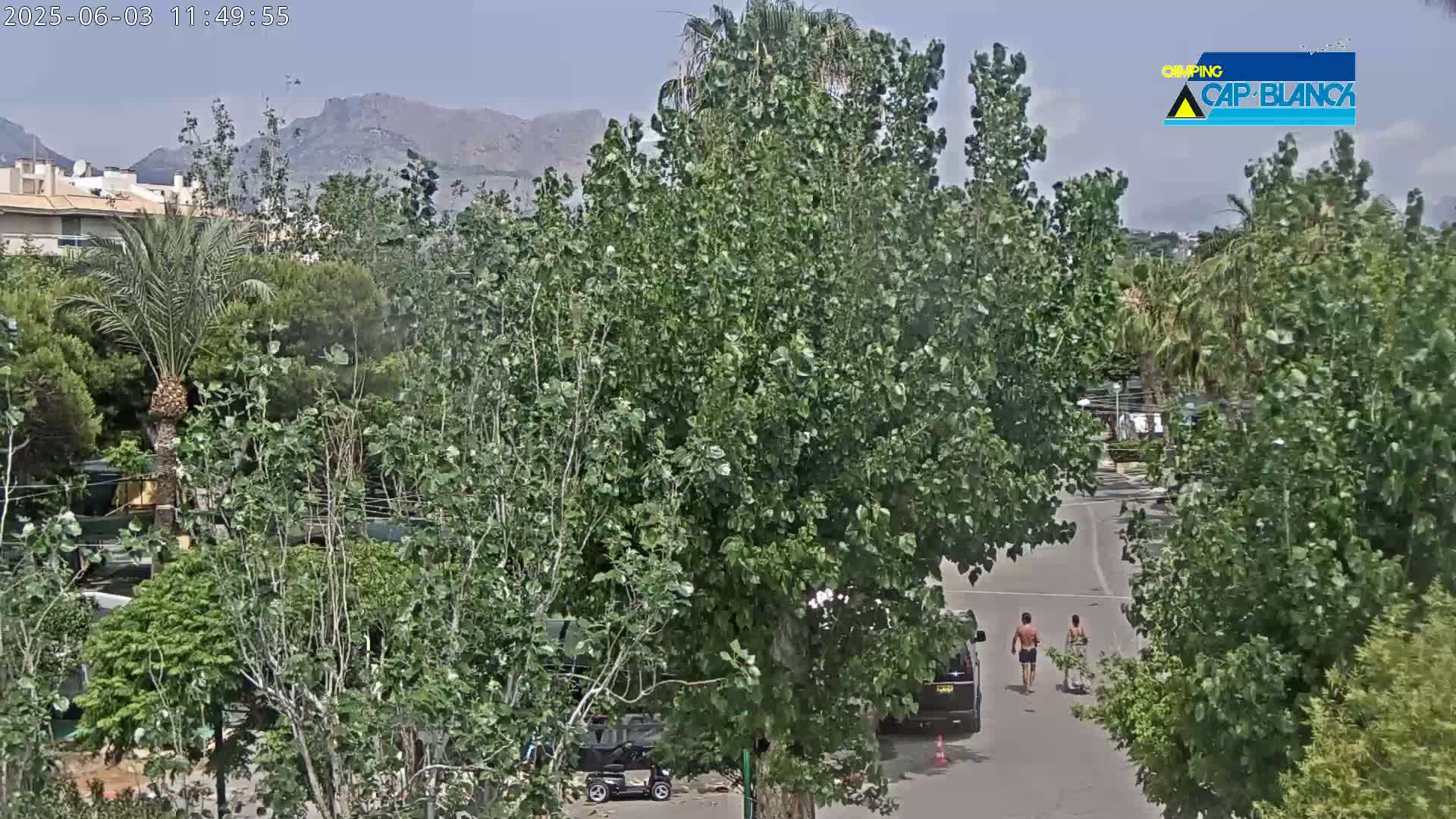 Two people walk down a paved road between lush green trees and shrubs under a mostly clear sky, with mountains visible in the distance.