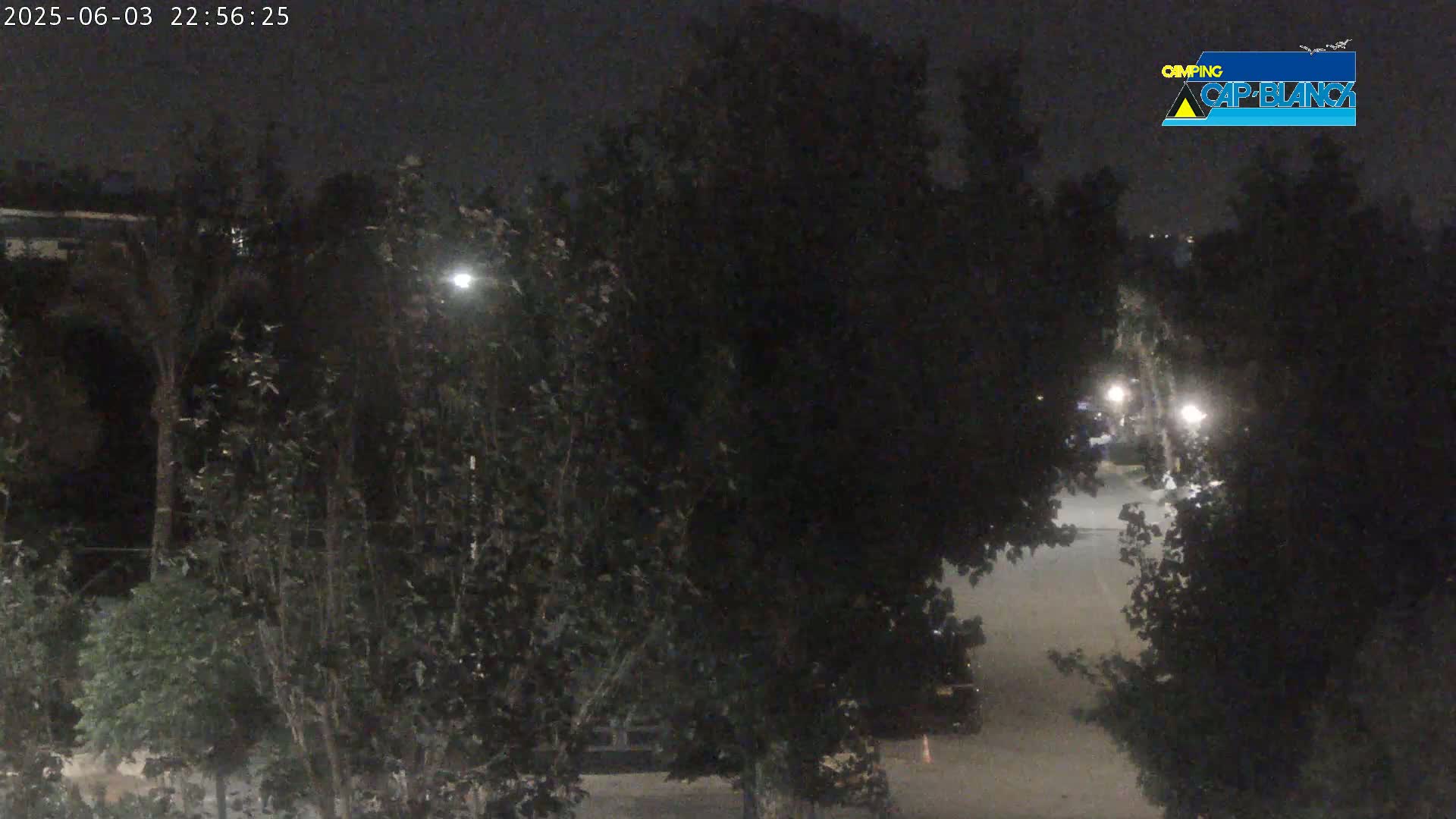 A nighttime view of a dimly lit street partially obscured by dark trees.